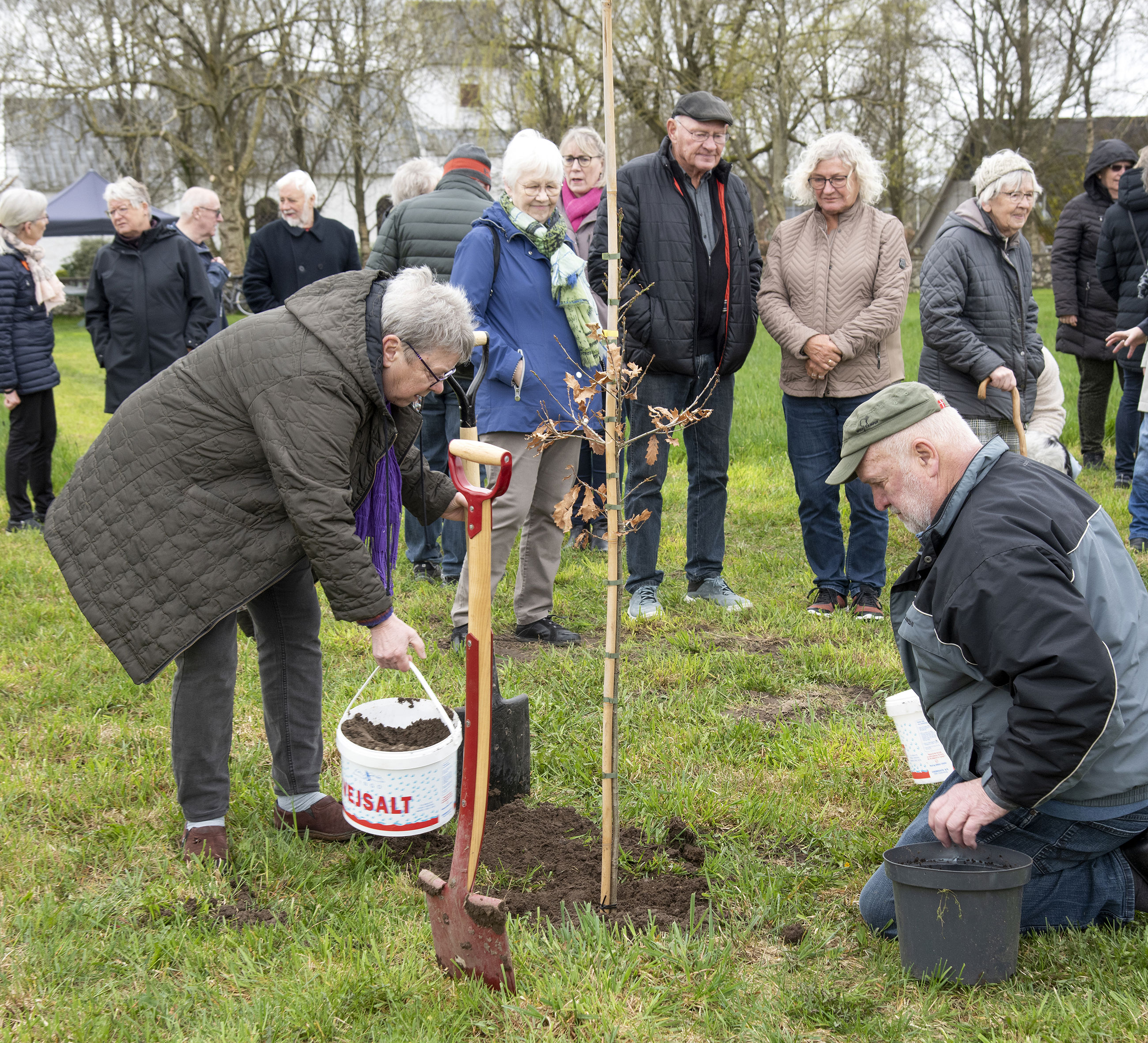 Plantning af træ i forbindelse med fejringen af borger nr. 100.000 i Asferg