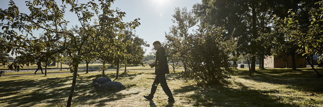 Ole blandt æbletræer