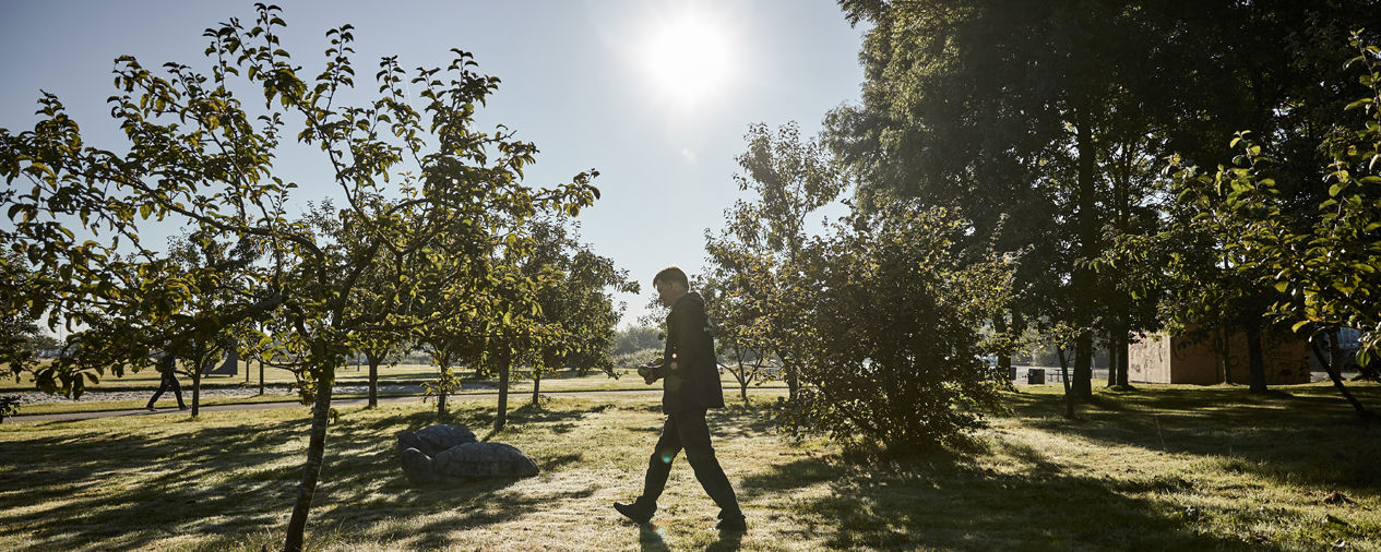 Ole blandt æbletræer