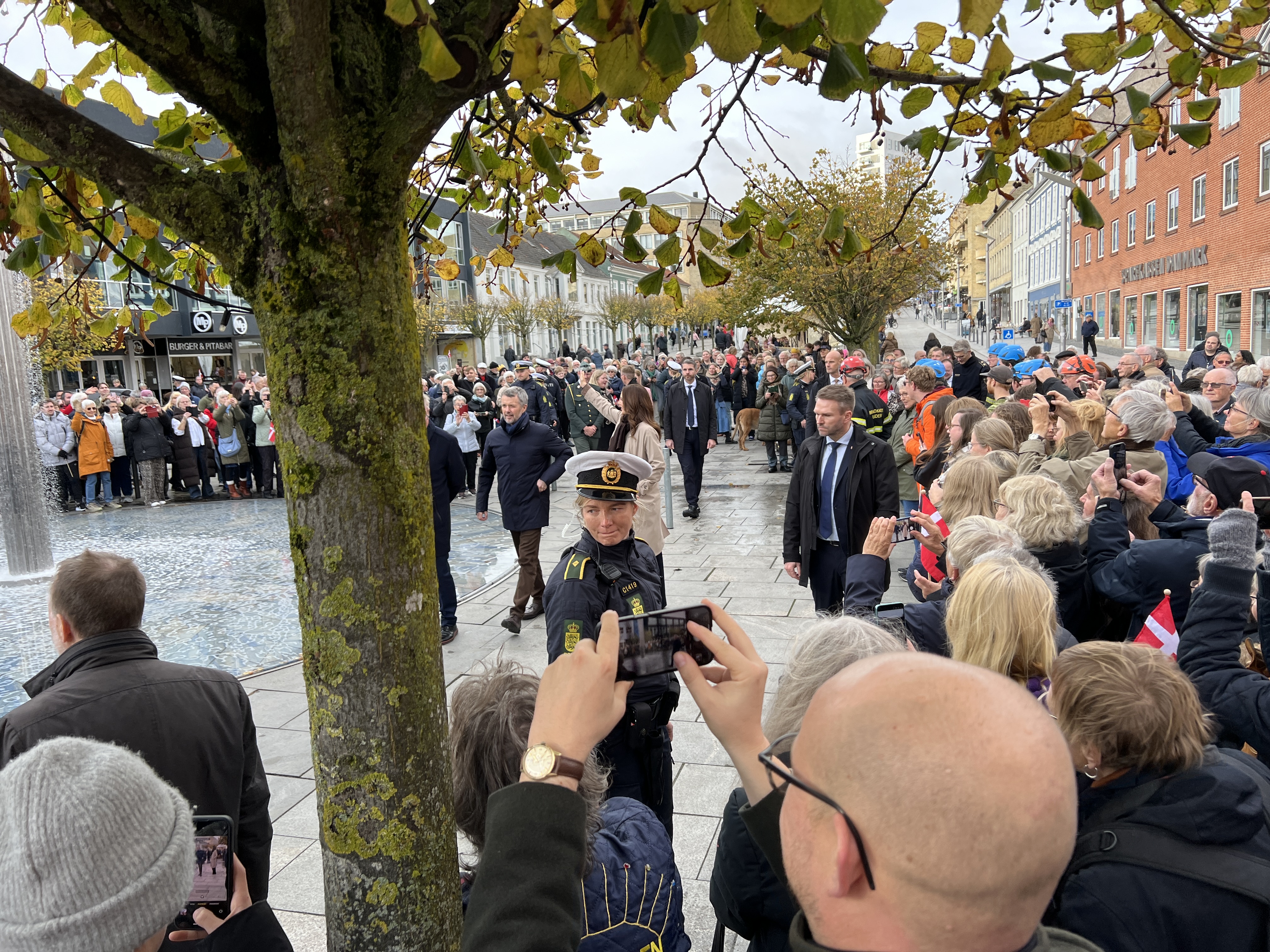 Kongeparret ved Fontænen