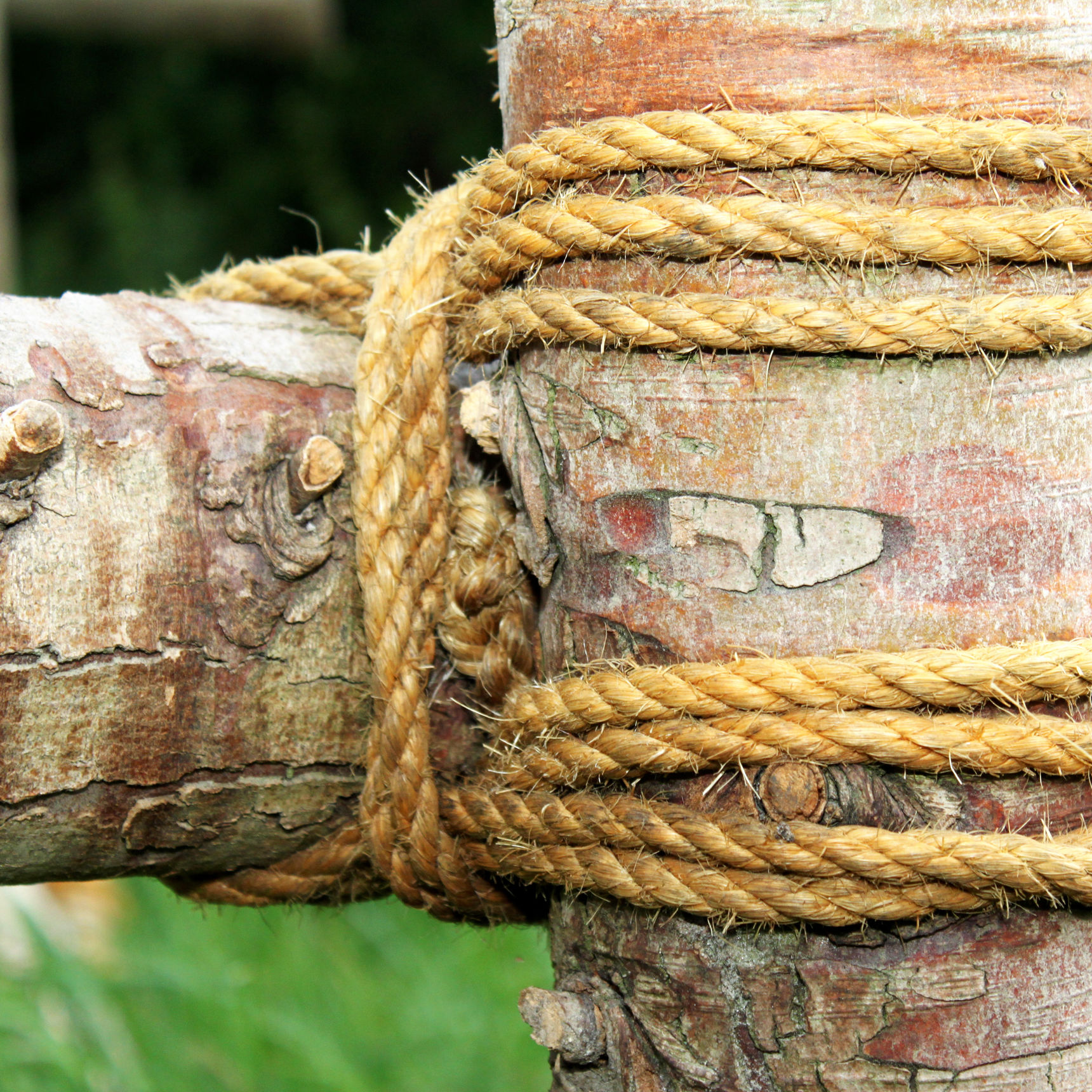 Rafter bundet sammen med reb