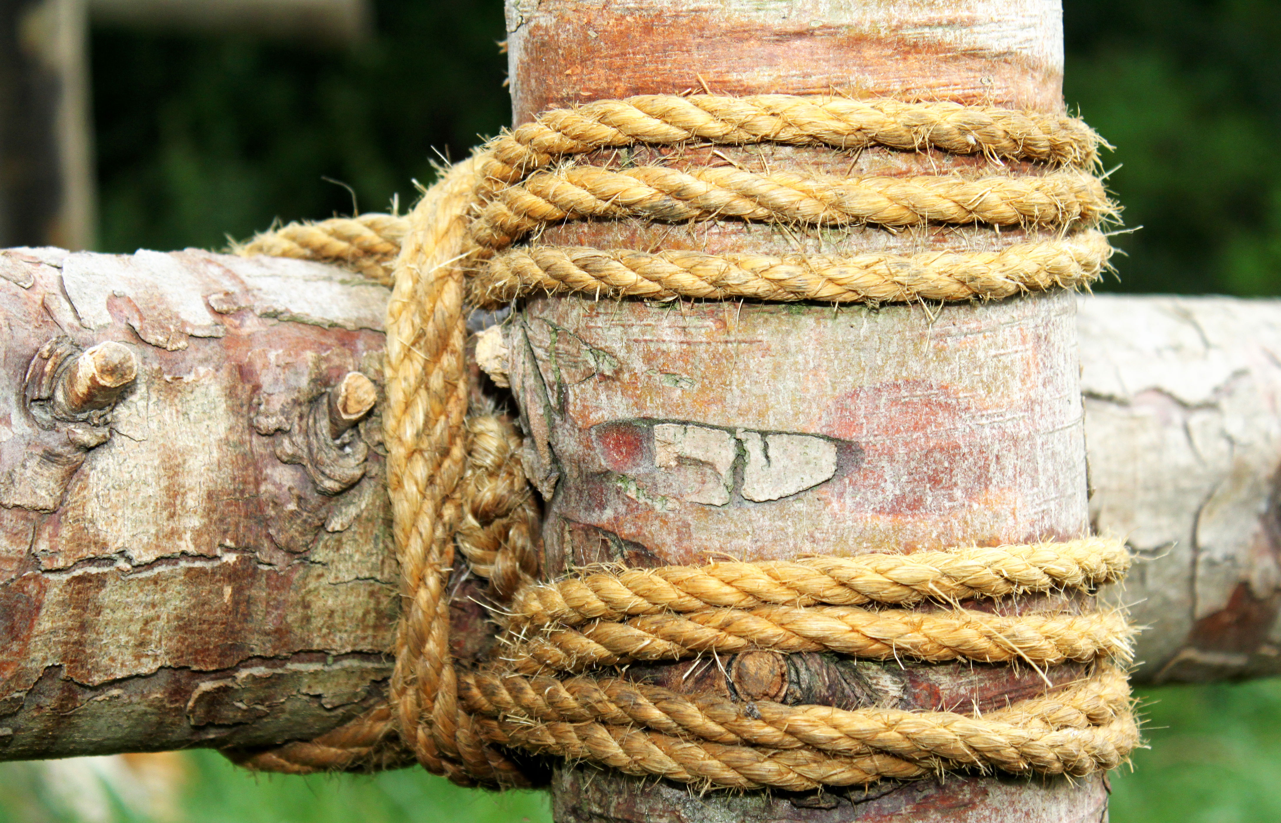 Rafter bundet sammen med reb
