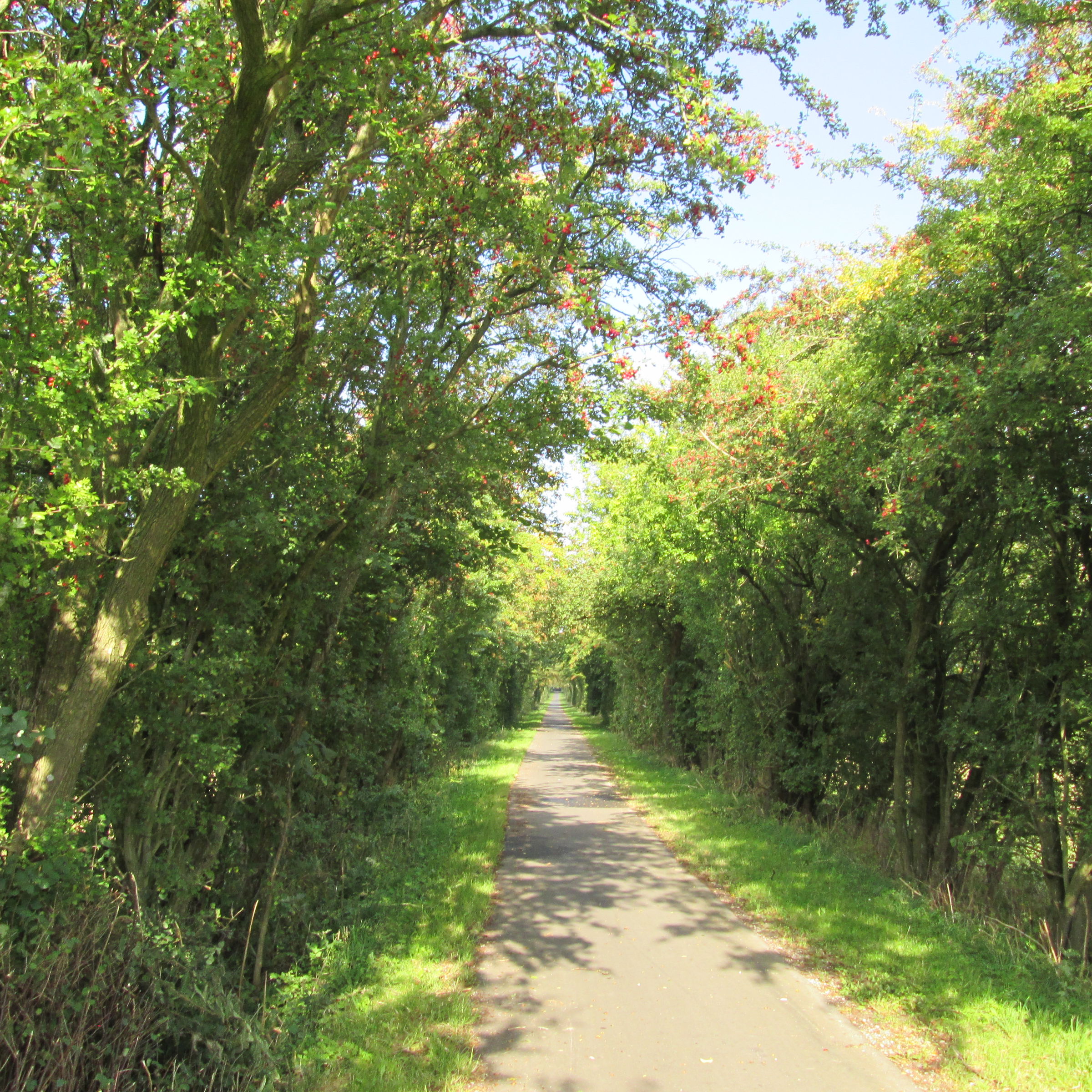 Natursti