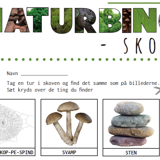 Naturbingo