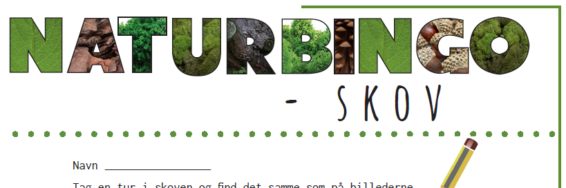 Naturbingo