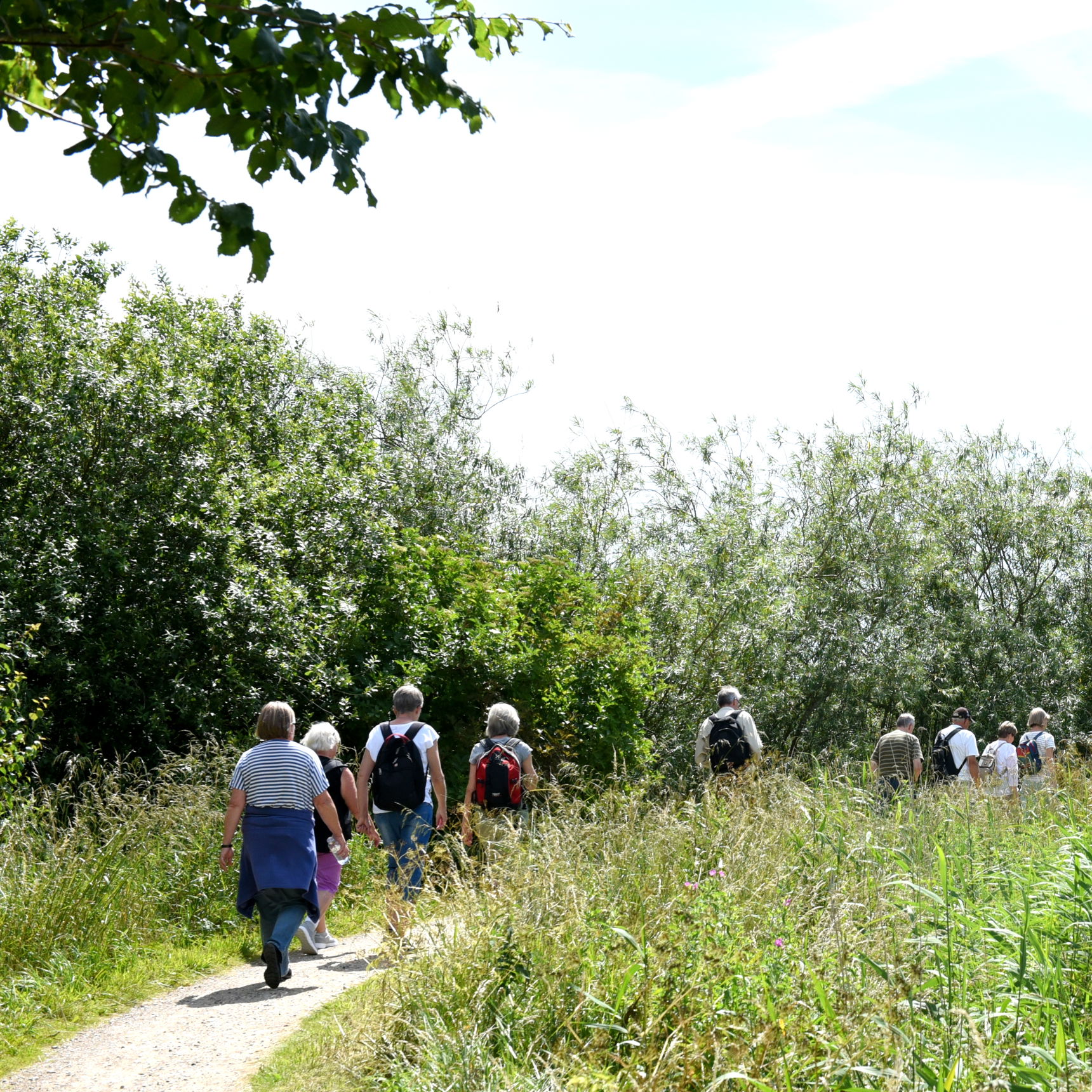 Folk på tur i Gudenåparken