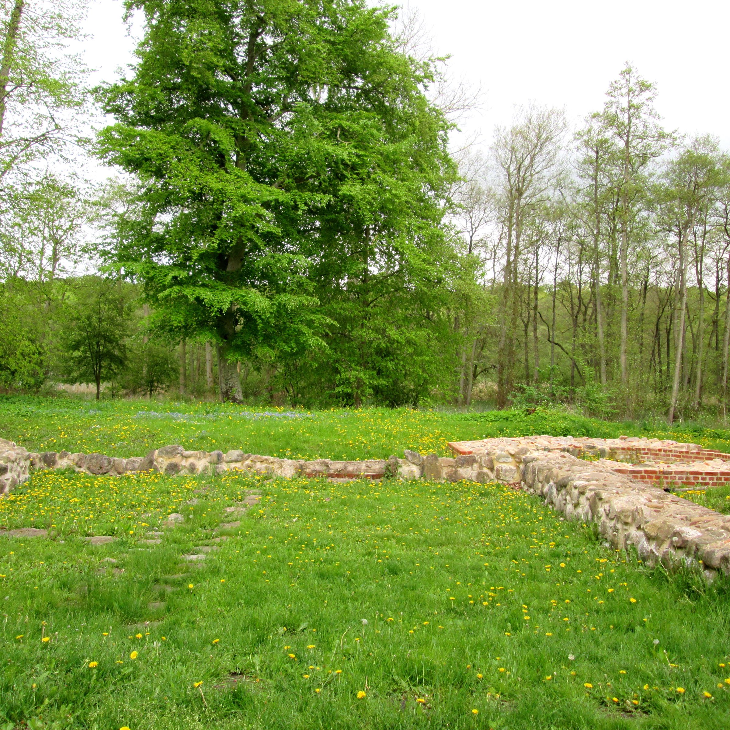 Fussingø Slotsruin