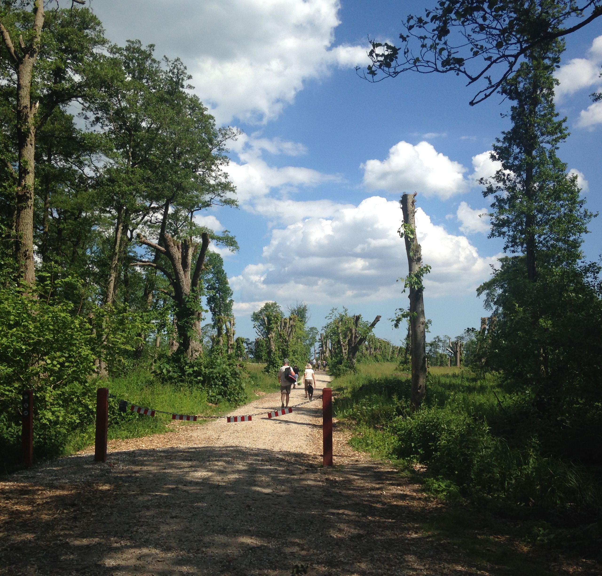 Gammelhave ved Fussingø
