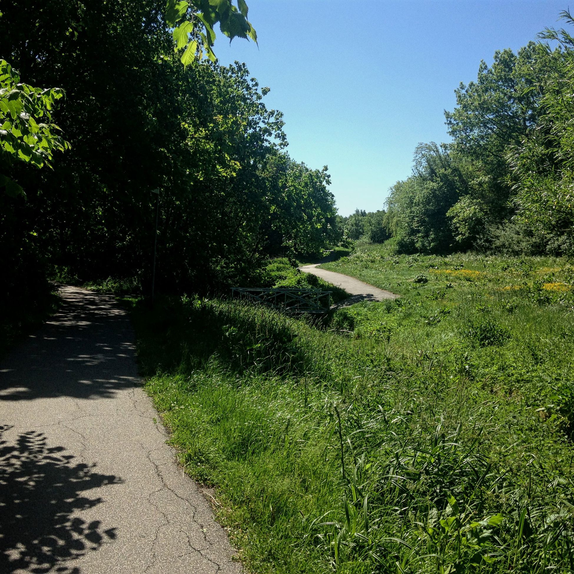 Skov og eng et stenkast fra villakvarteret ved Bækkestien