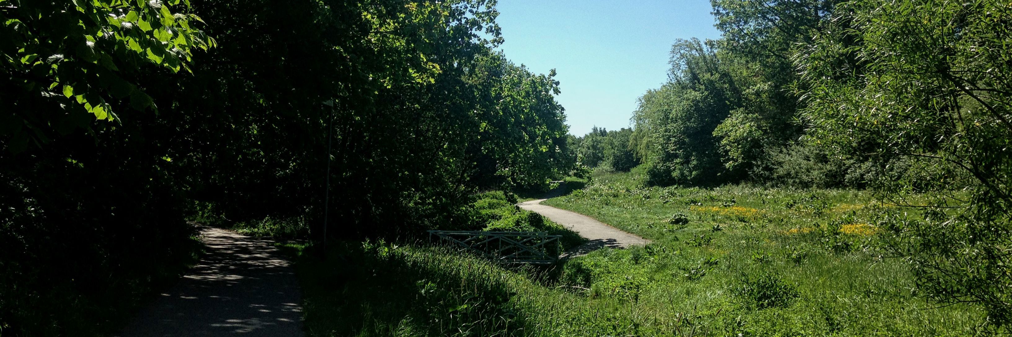 Skov og eng et stenkast fra villakvarteret ved Bækkestien