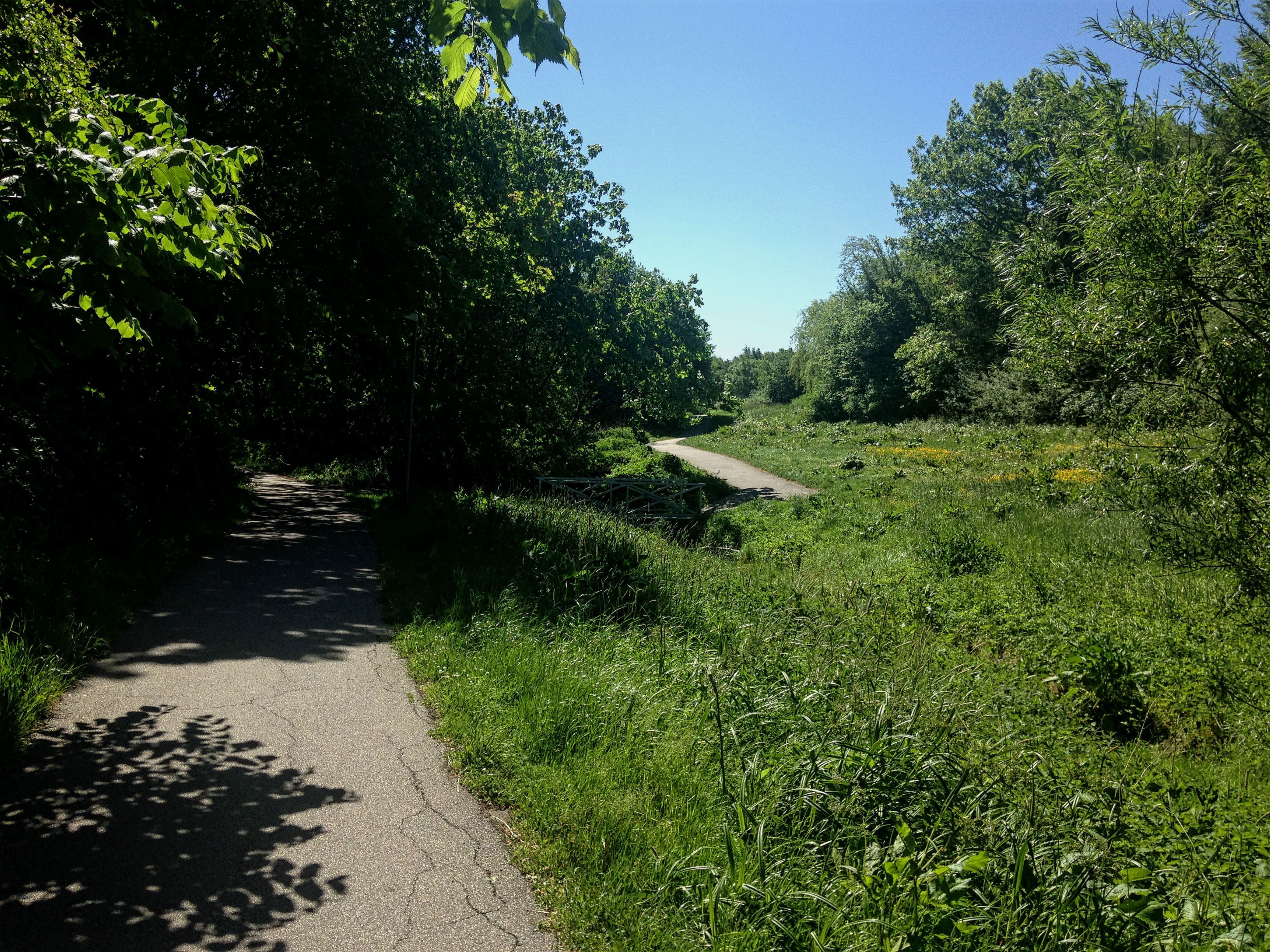 Skov og eng et stenkast fra villakvarteret ved Bækkestien