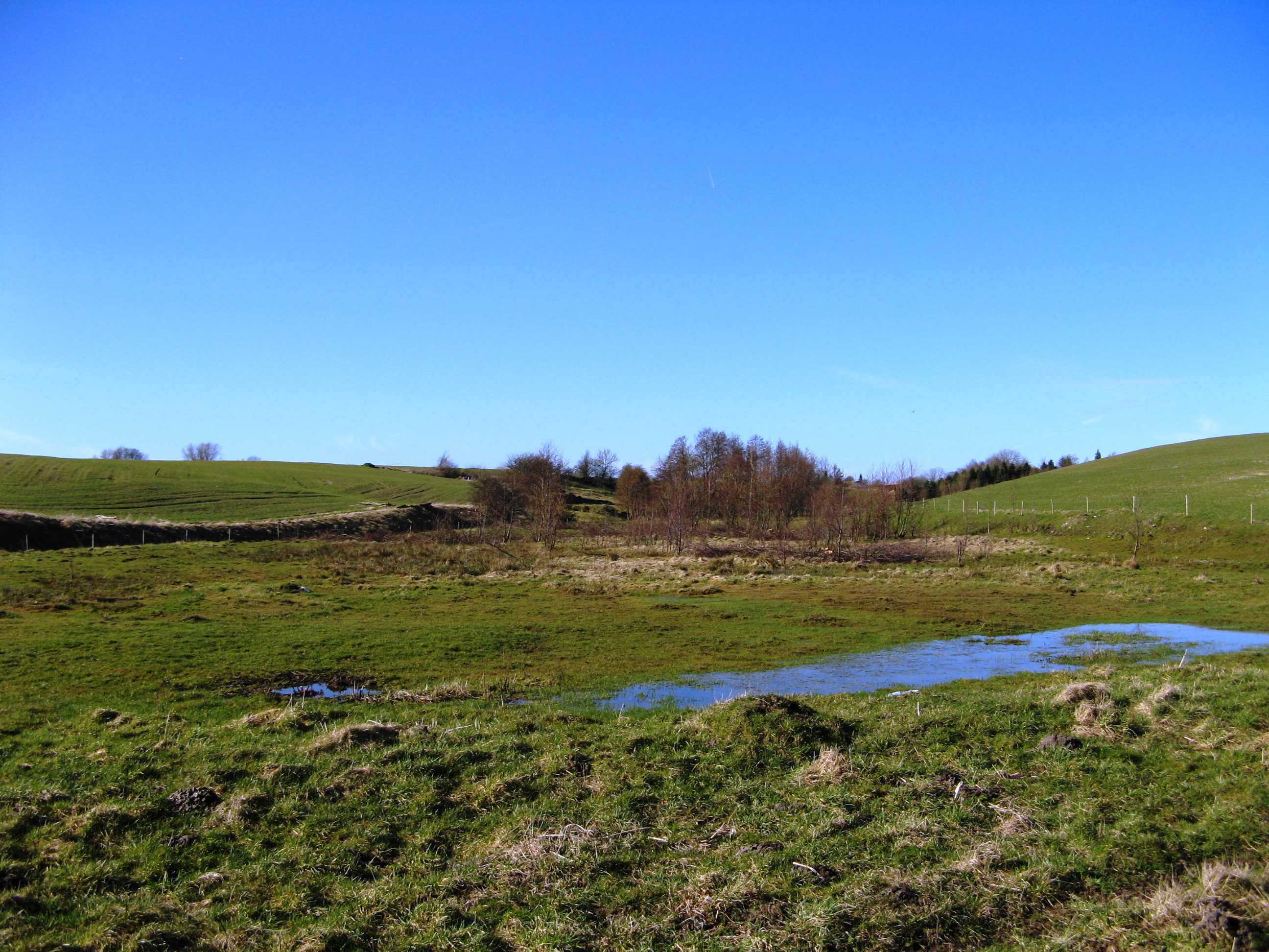 Området ved Gjerlev Kær