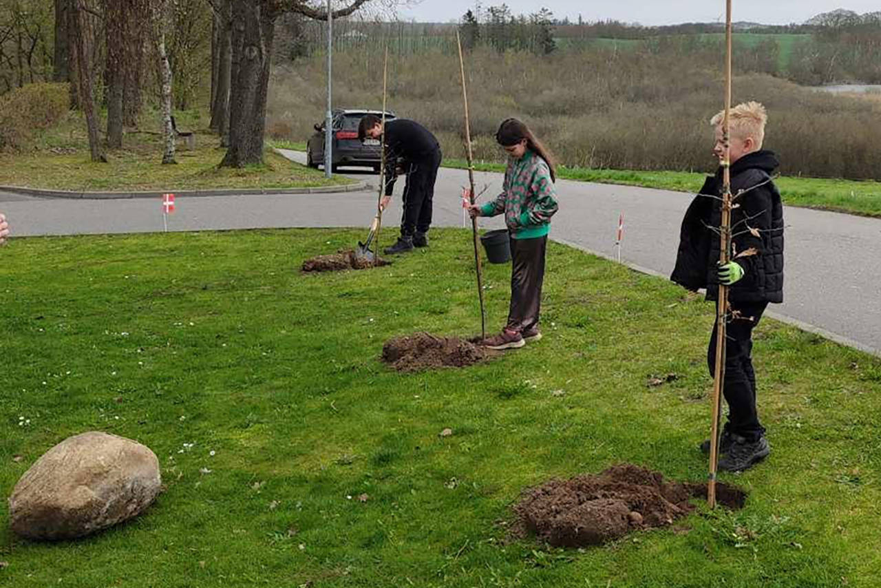 Plantning af træer i forbindelse med fejringen af borger nr. 100.000 i Havndal