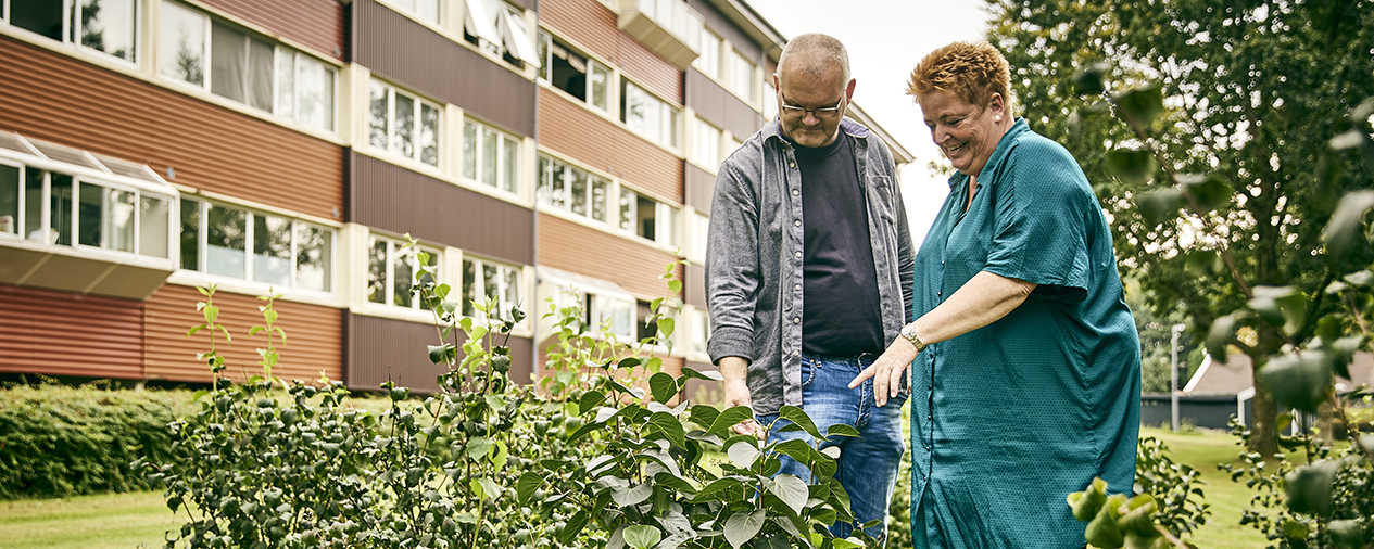 Grønne tiltag i Vangdalen