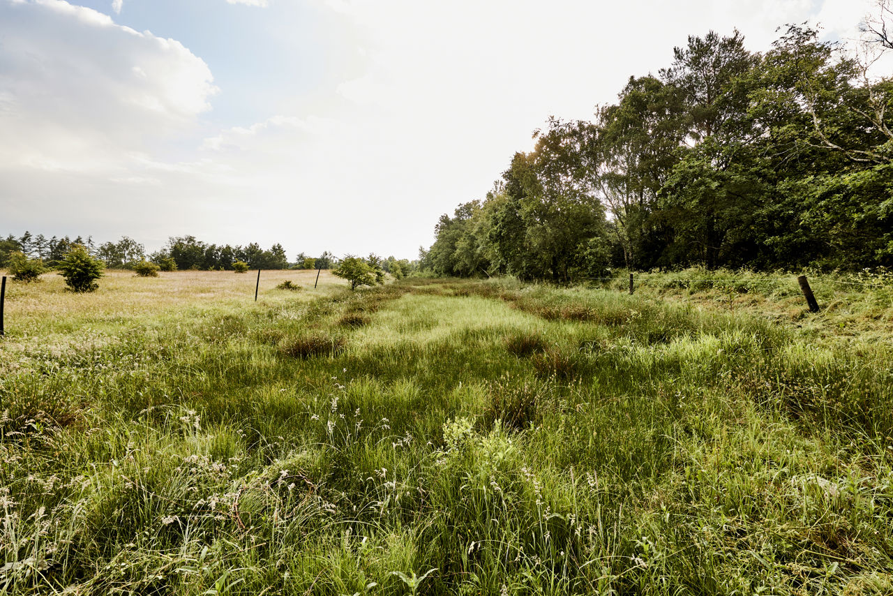 Christian III's Kanal