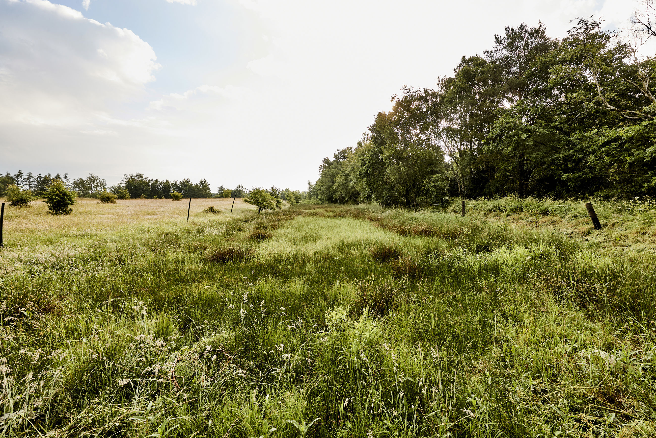 Christian III's Kanal