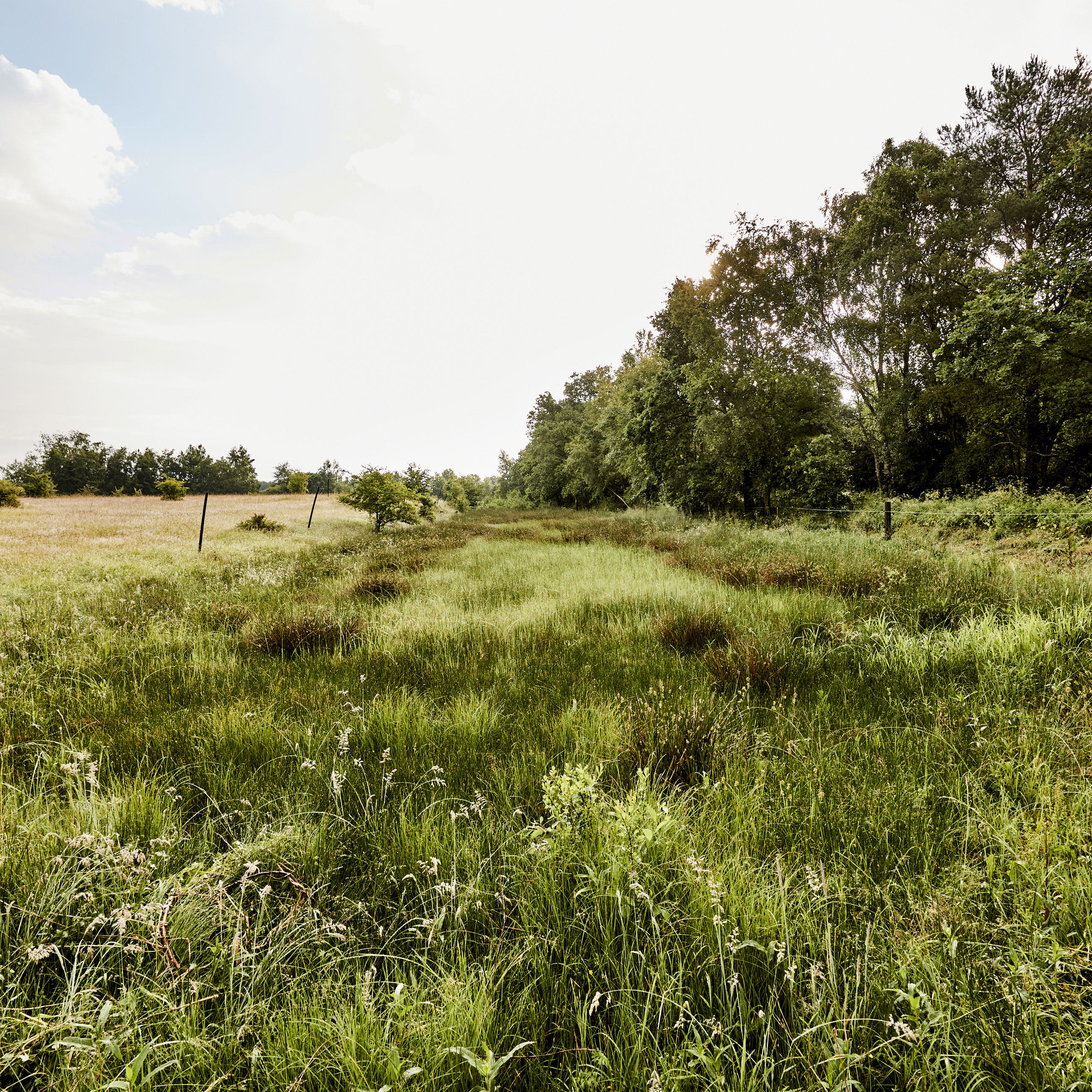 Christian III's Kanal