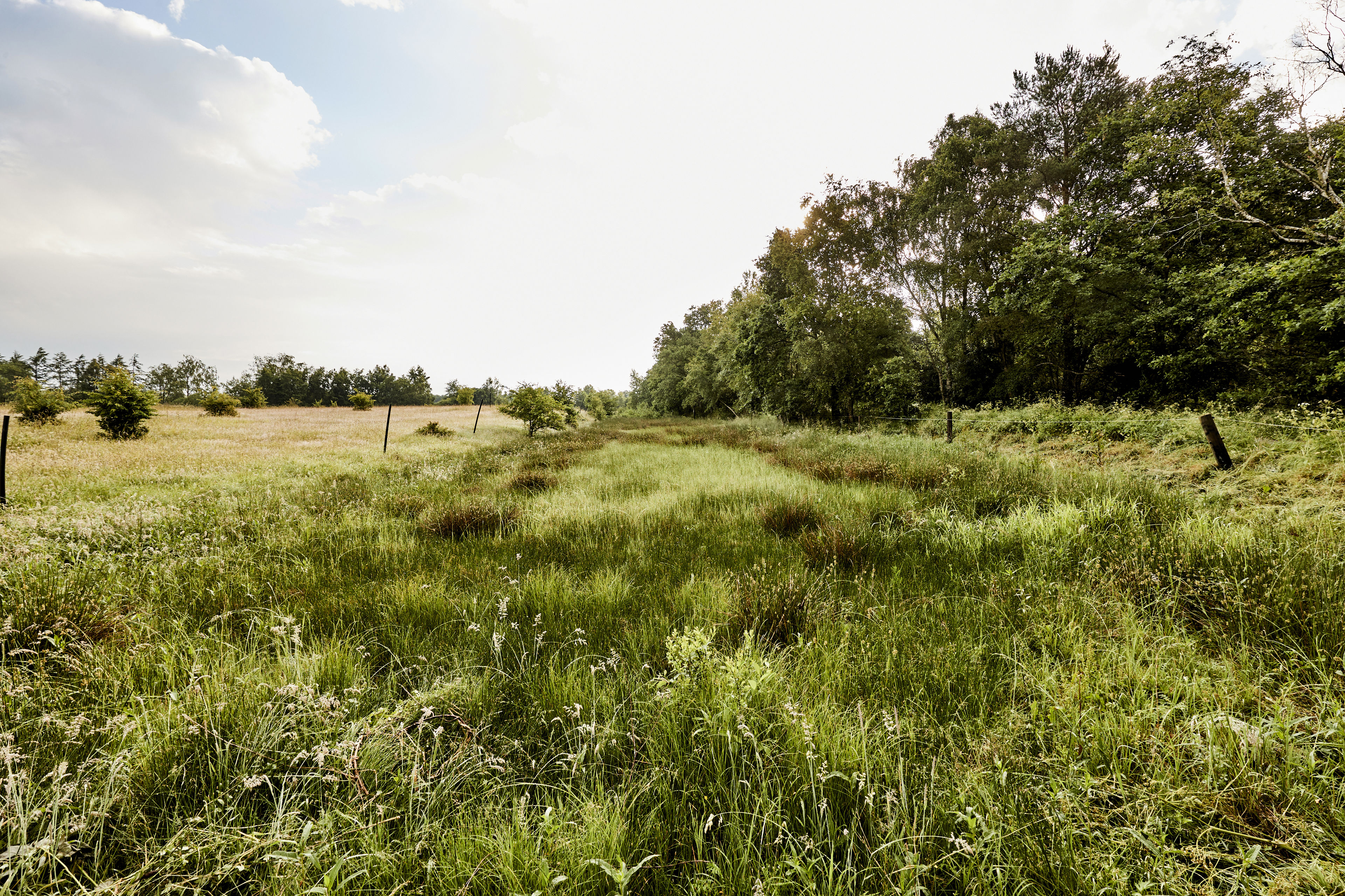 Christian III's Kanal