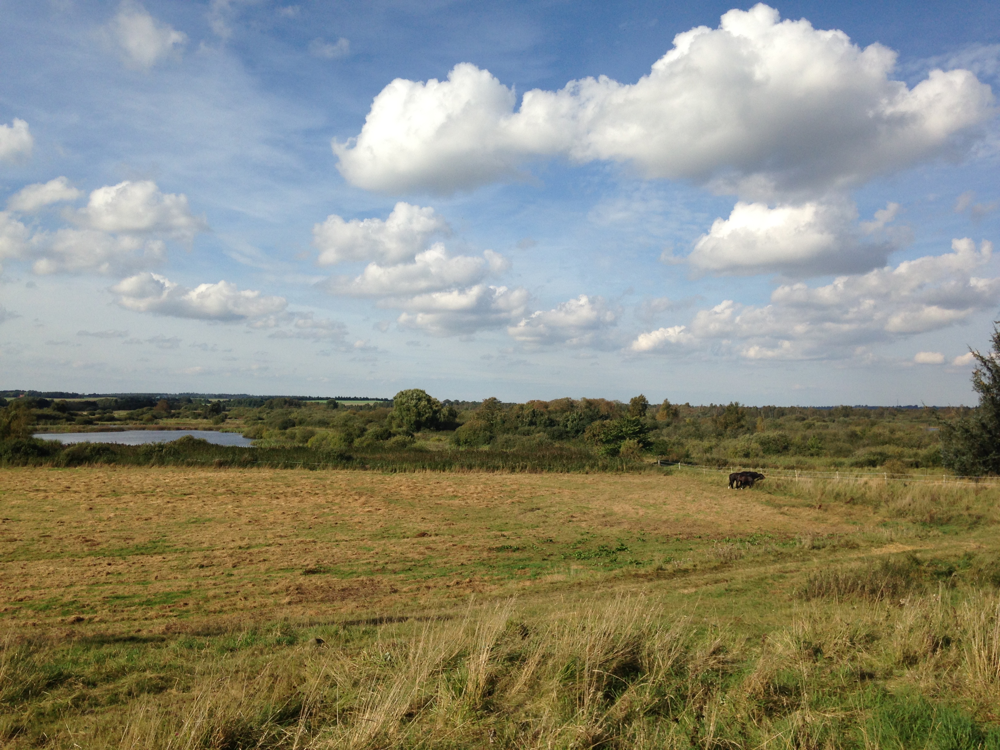 Marker og sø ved Øster Bjerregrav