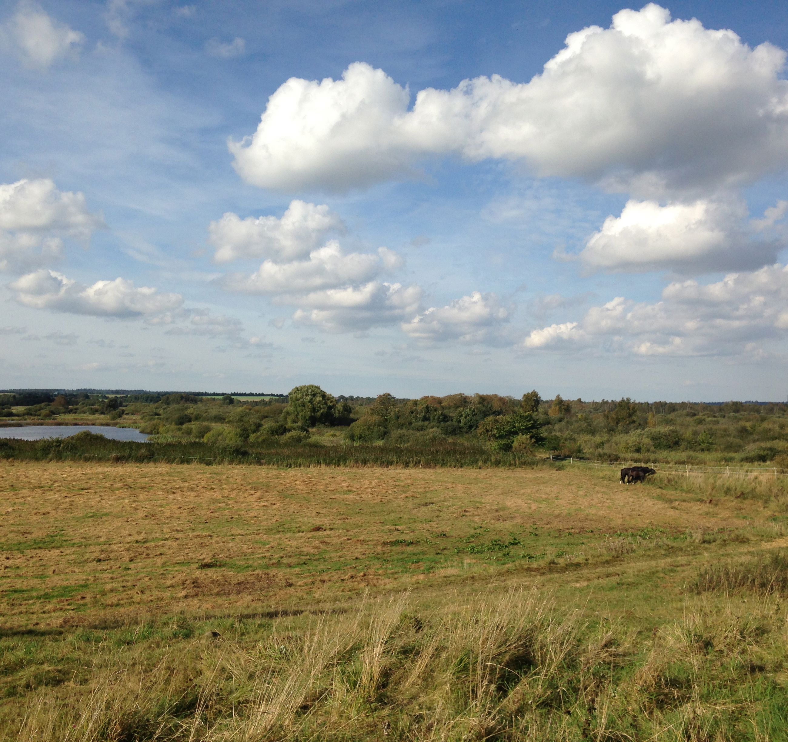 Marker og sø ved Øster Bjerregrav