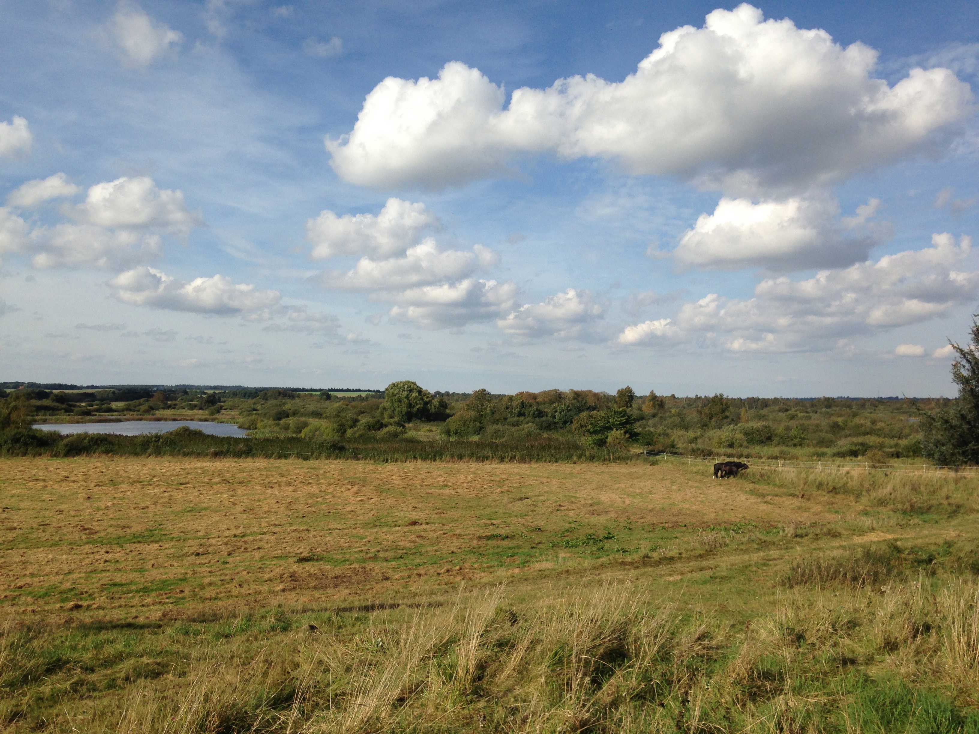 Marker og sø ved Øster Bjerregrav
