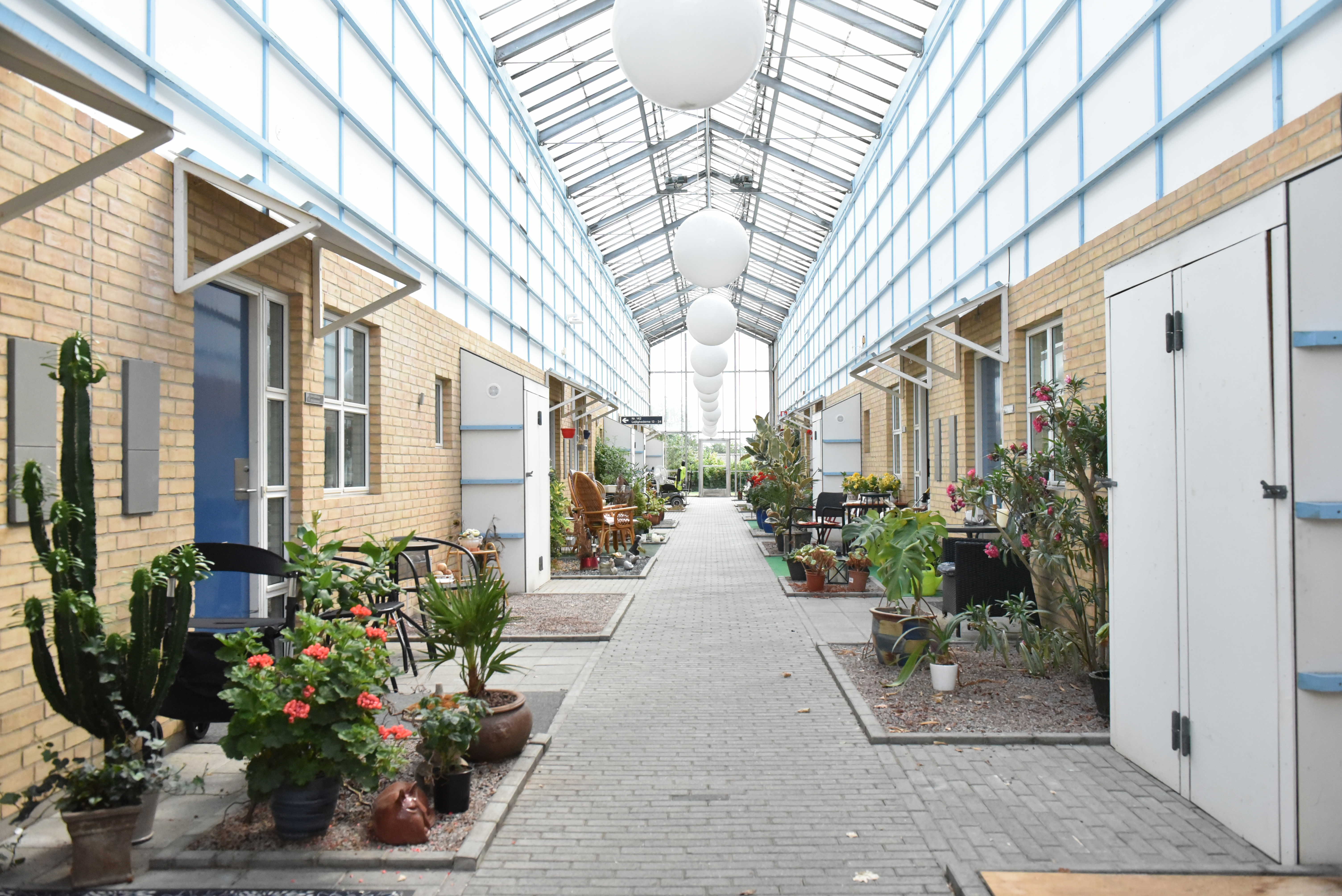 Gangareal på Borupvænget