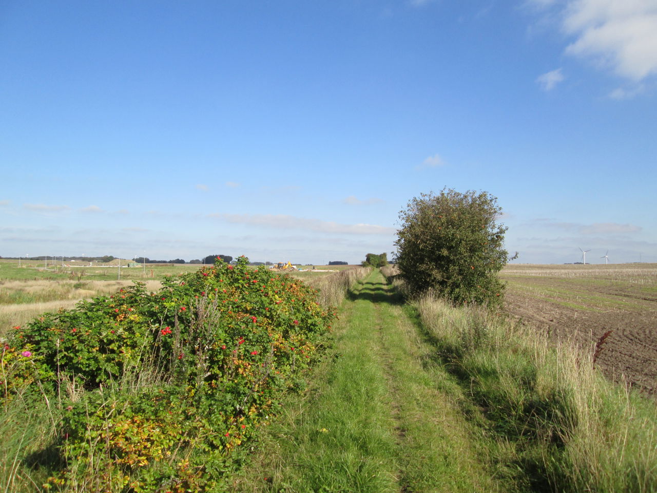 Natursti