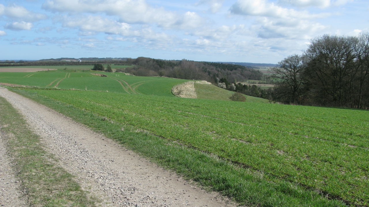 Grusvej med udsigt ud over marker