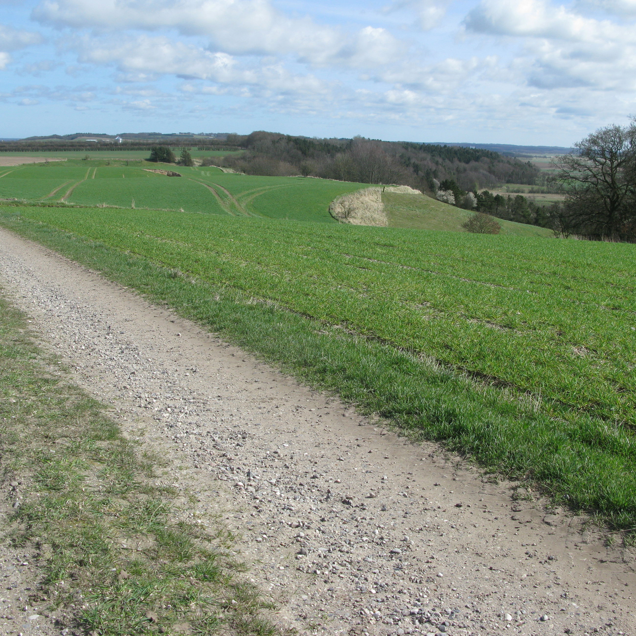 Grusvej med udsigt ud over marker