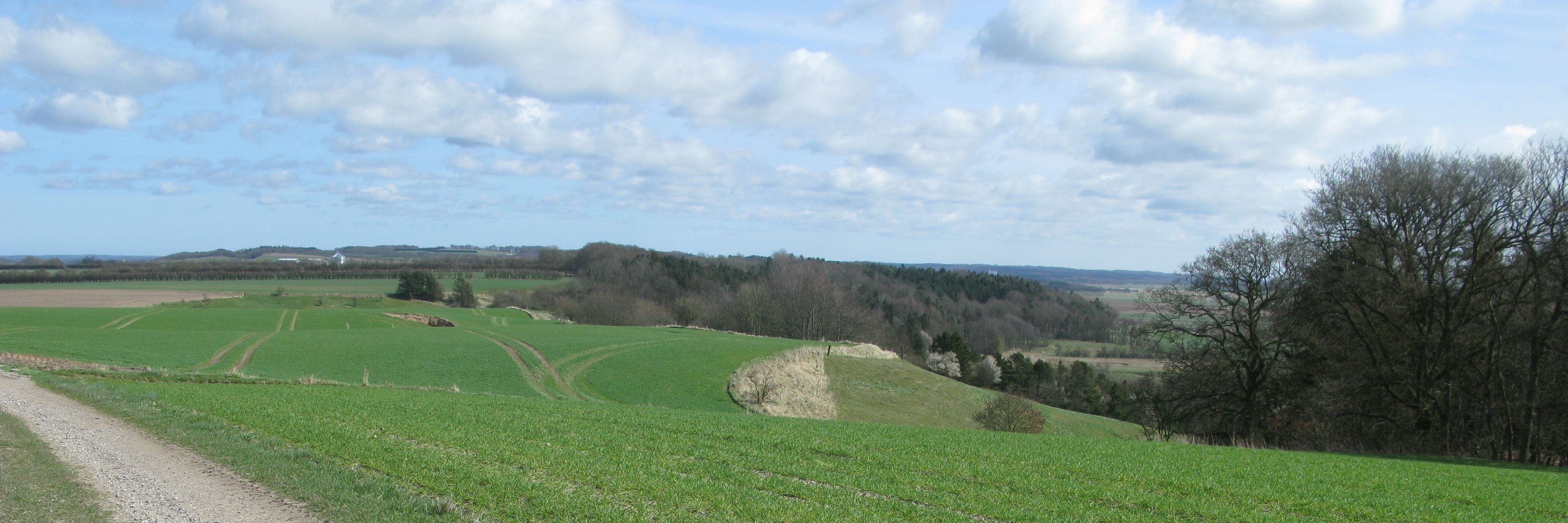 Grusvej med udsigt ud over marker