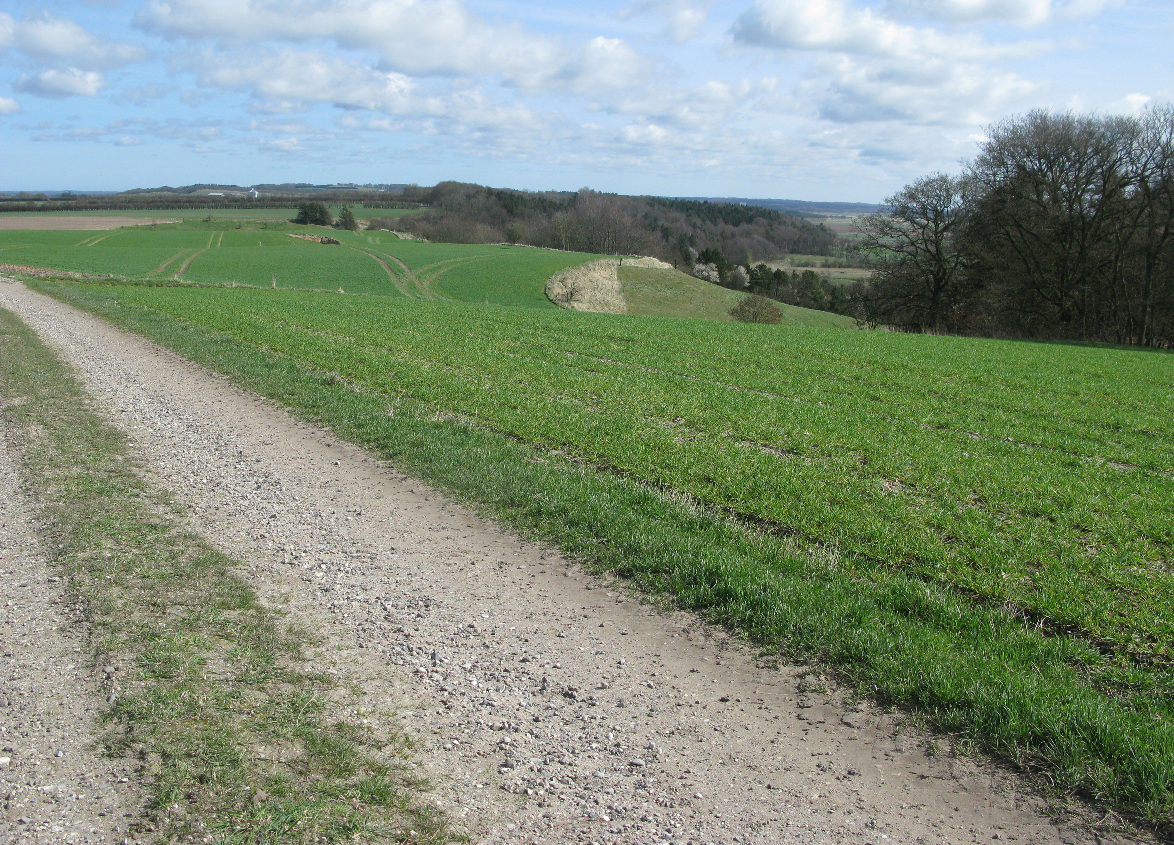 Grusvej med udsigt ud over marker