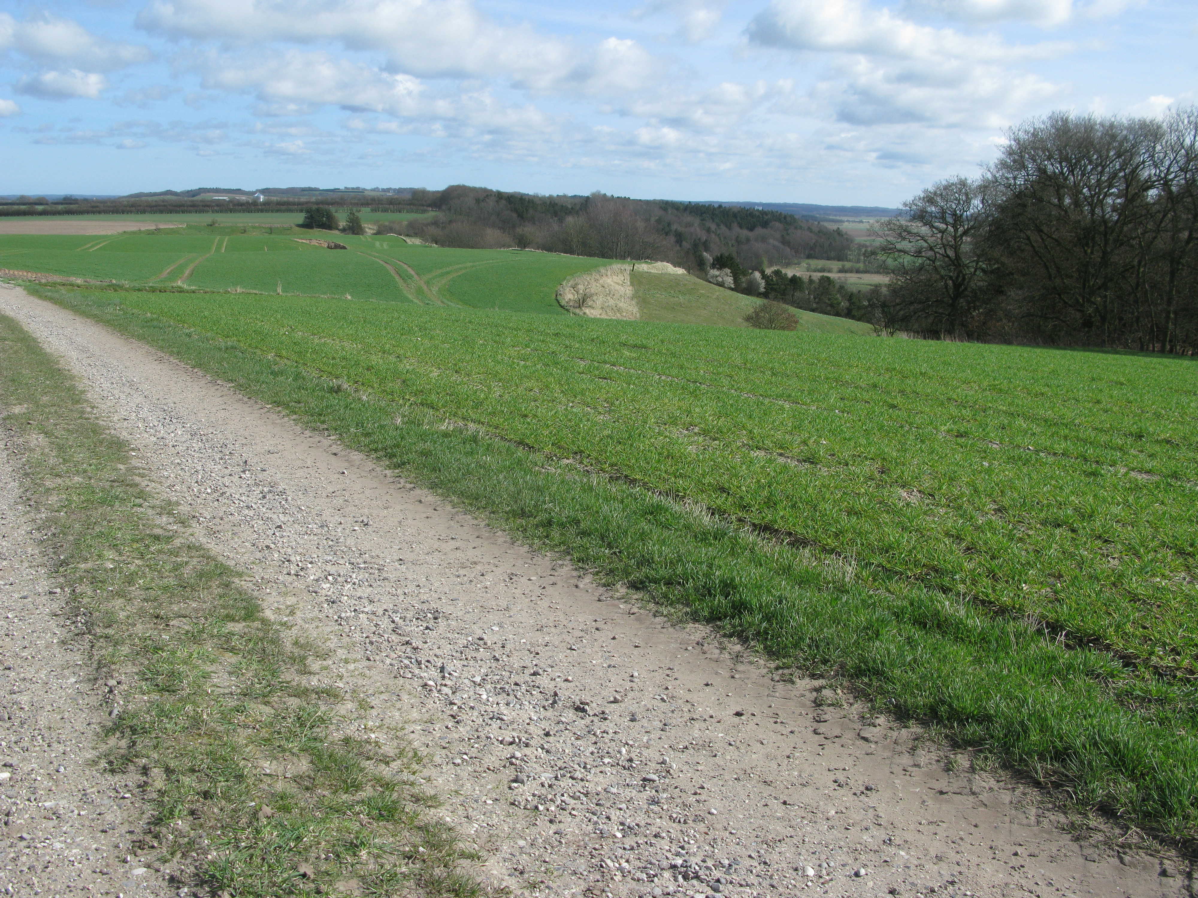 Grusvej med udsigt ud over marker