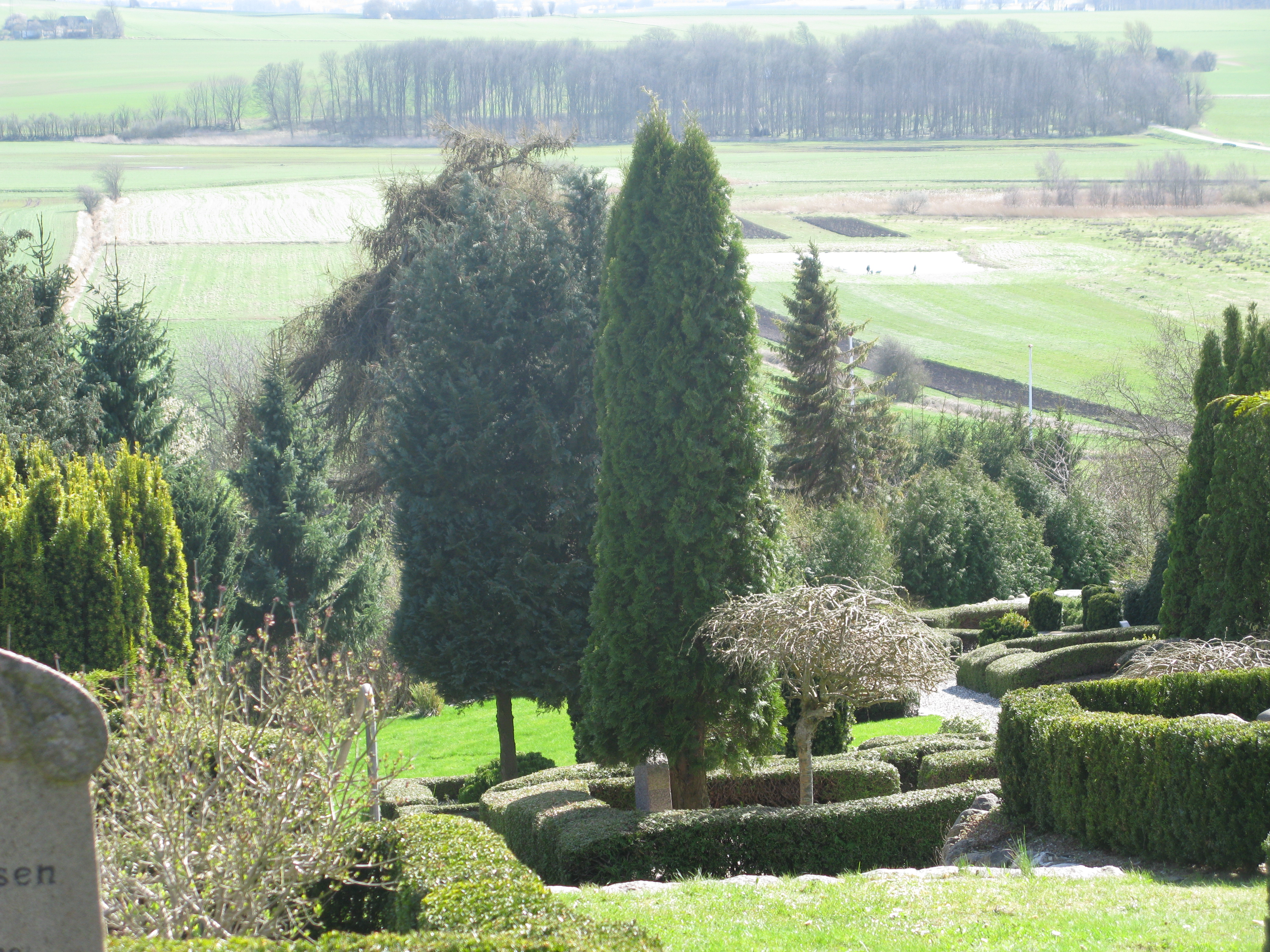 Udsigt ved Virring Kirkegård