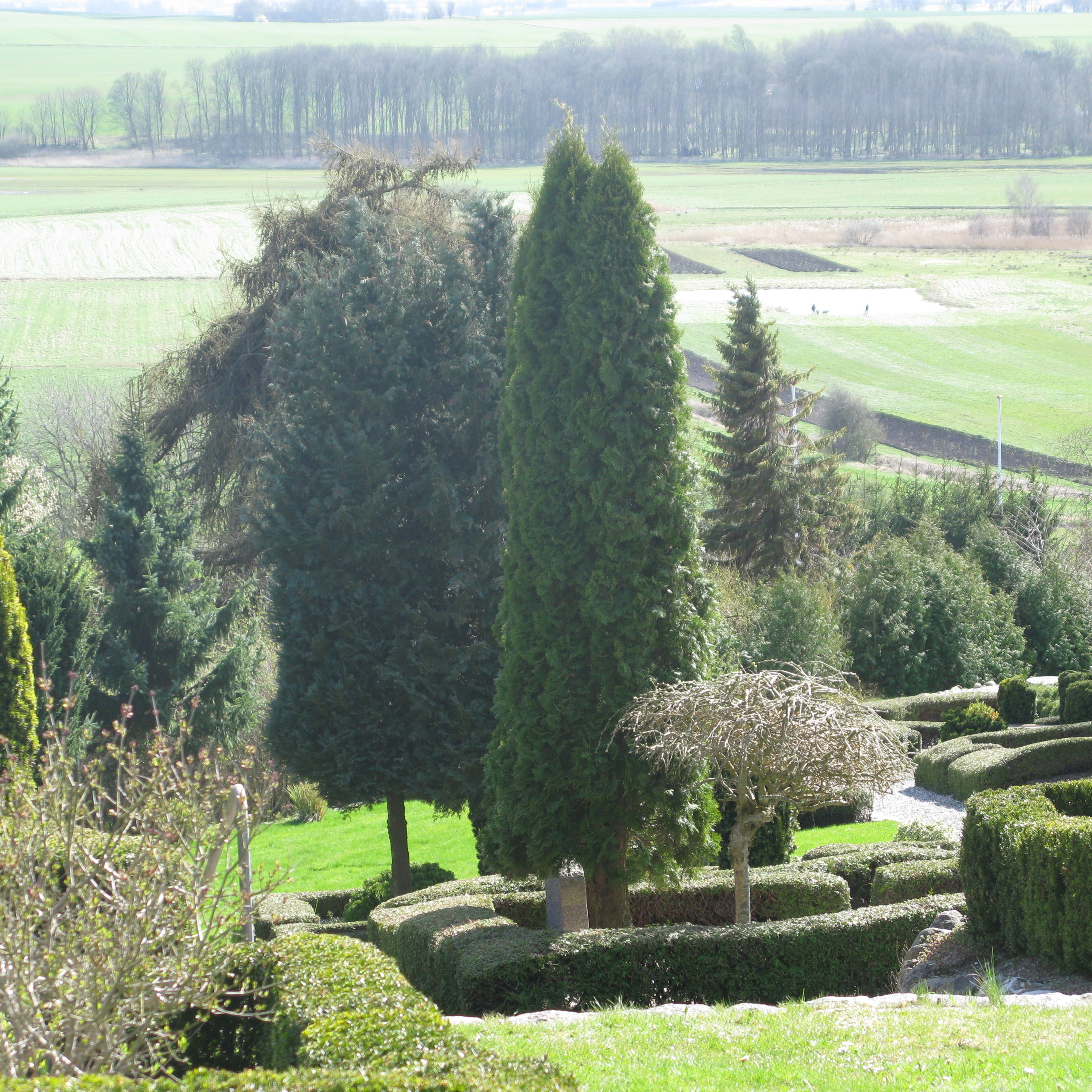 Udsigt ved Virring Kirkegård