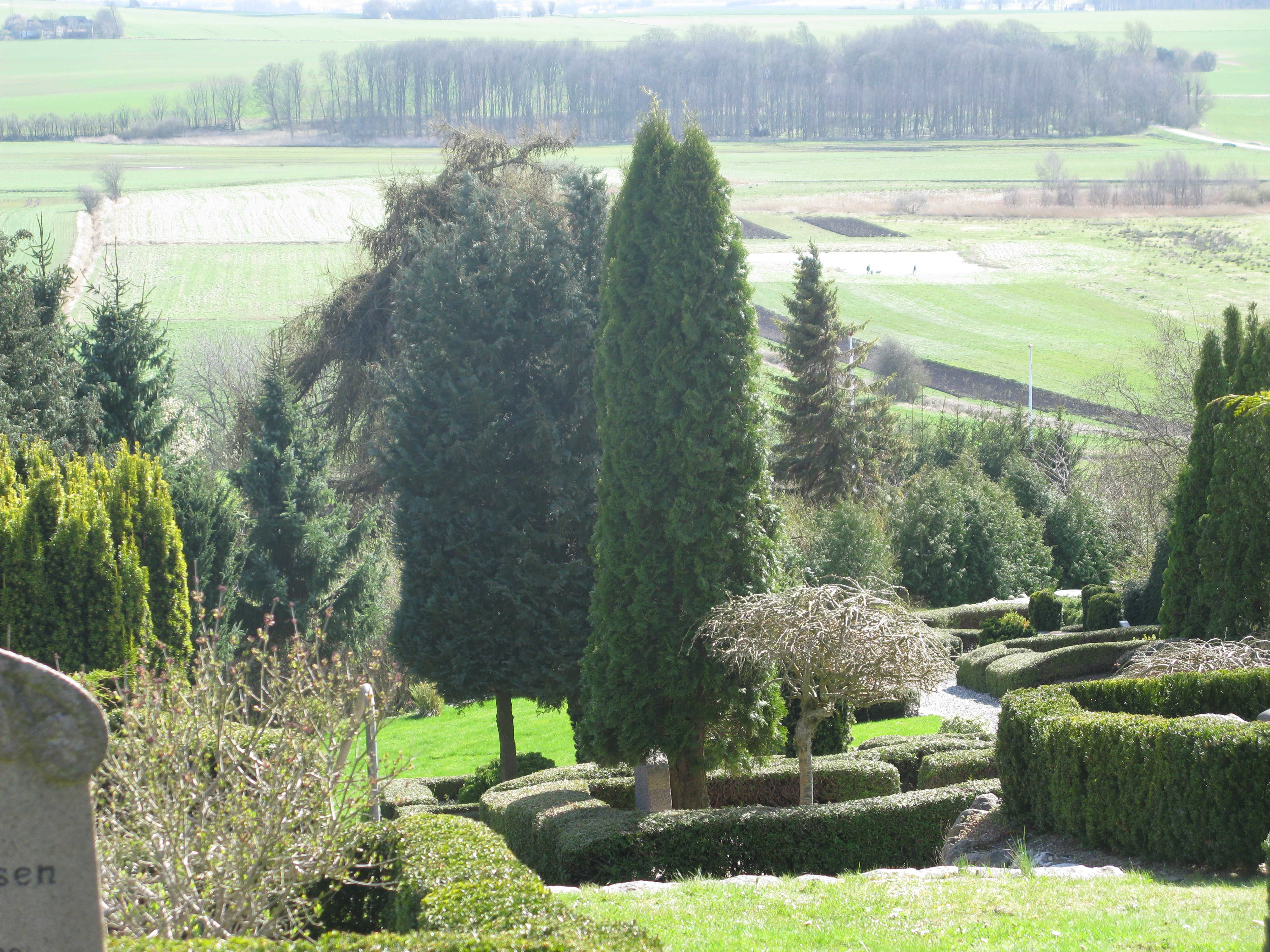 Udsigt ved Virring Kirkegård