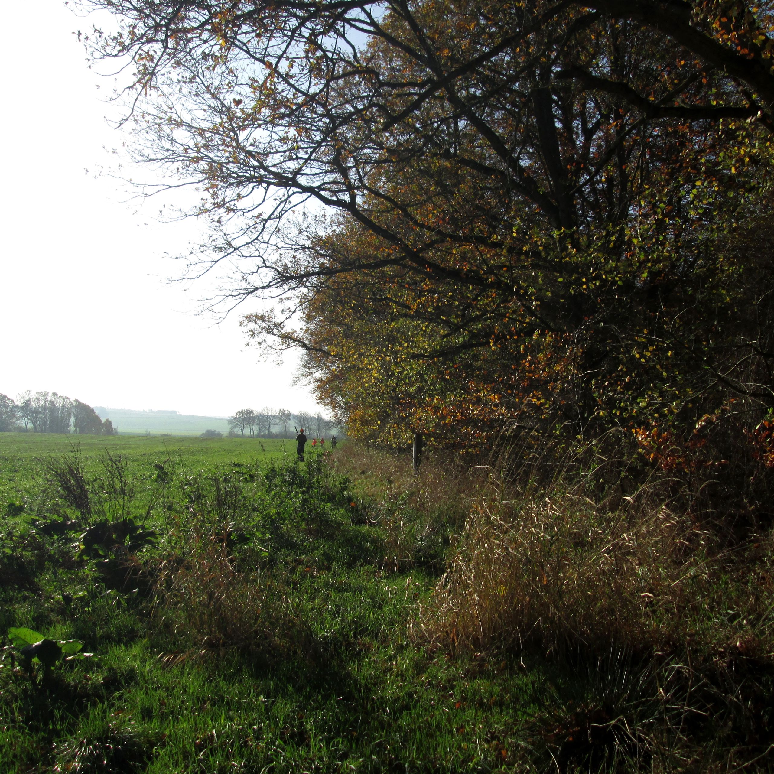 Området ved Brusgård