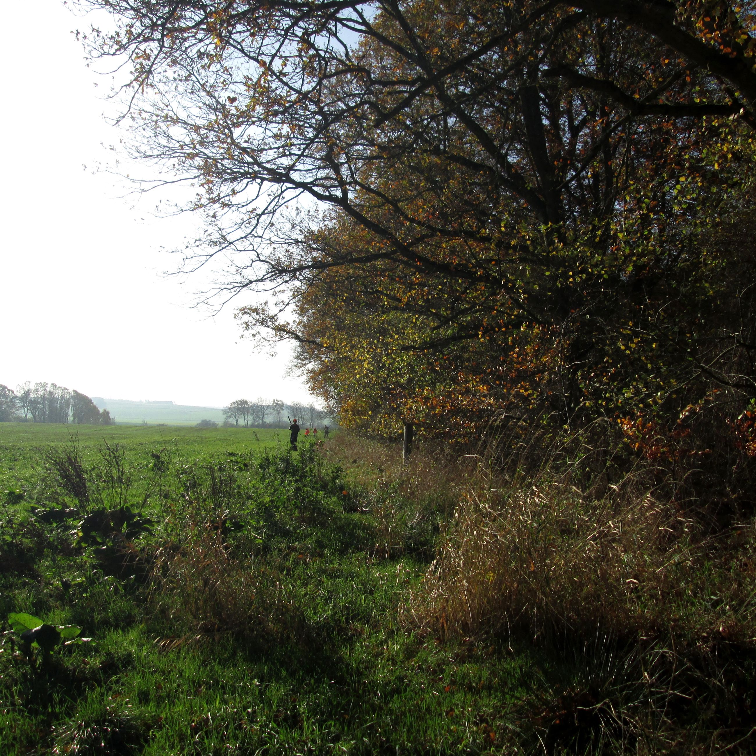 Området ved Brusgård