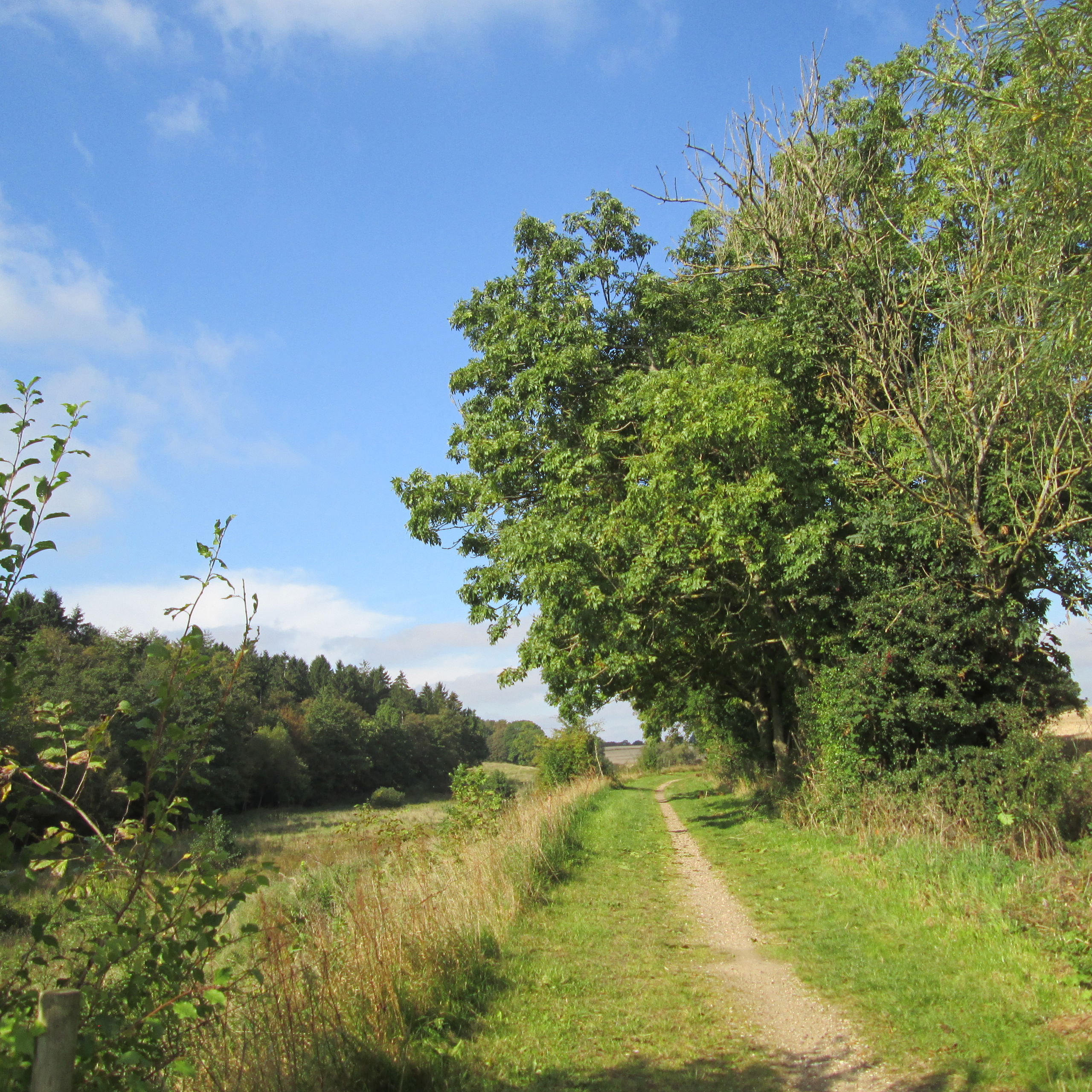 Natursti
