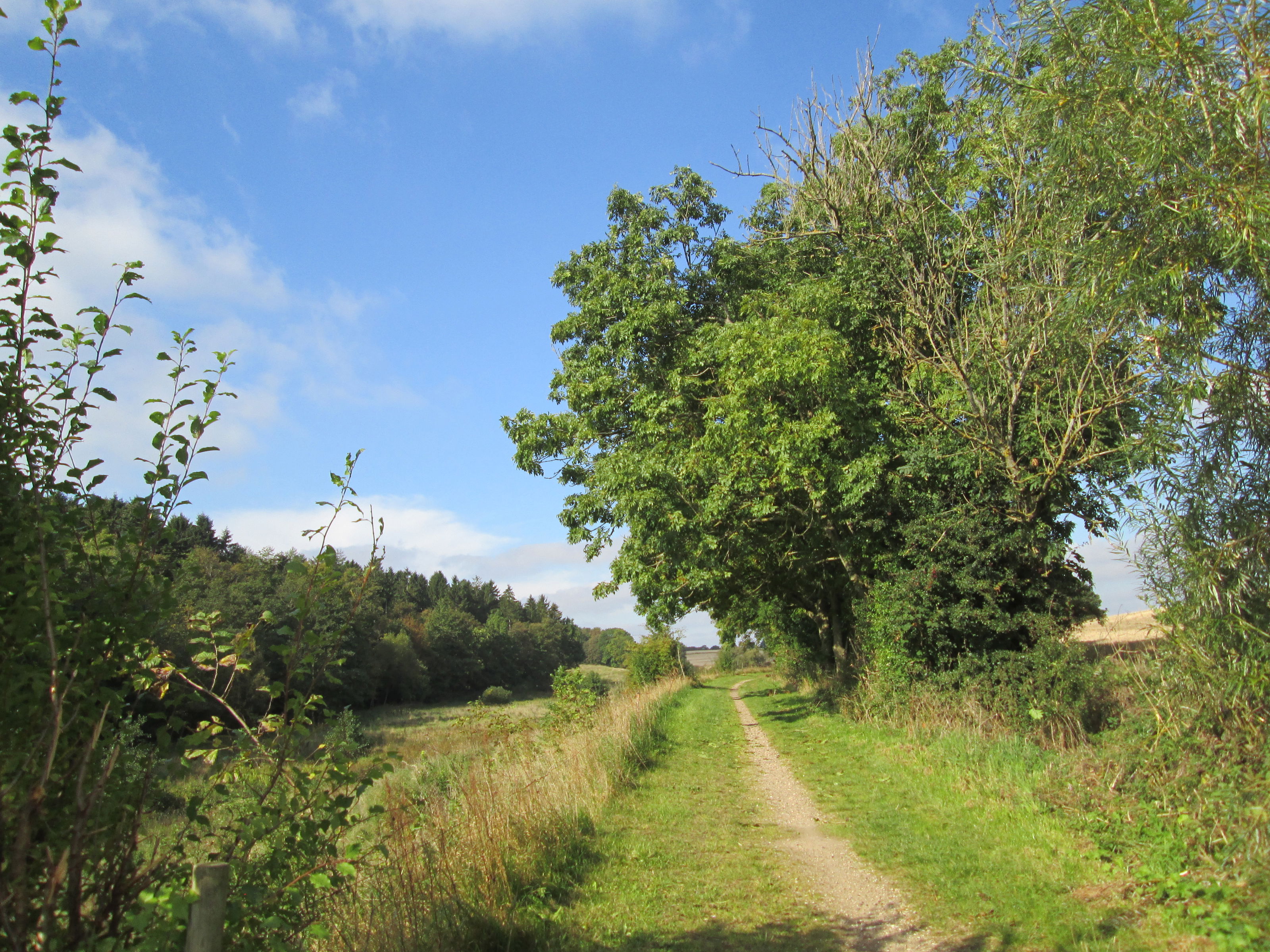 Natursti