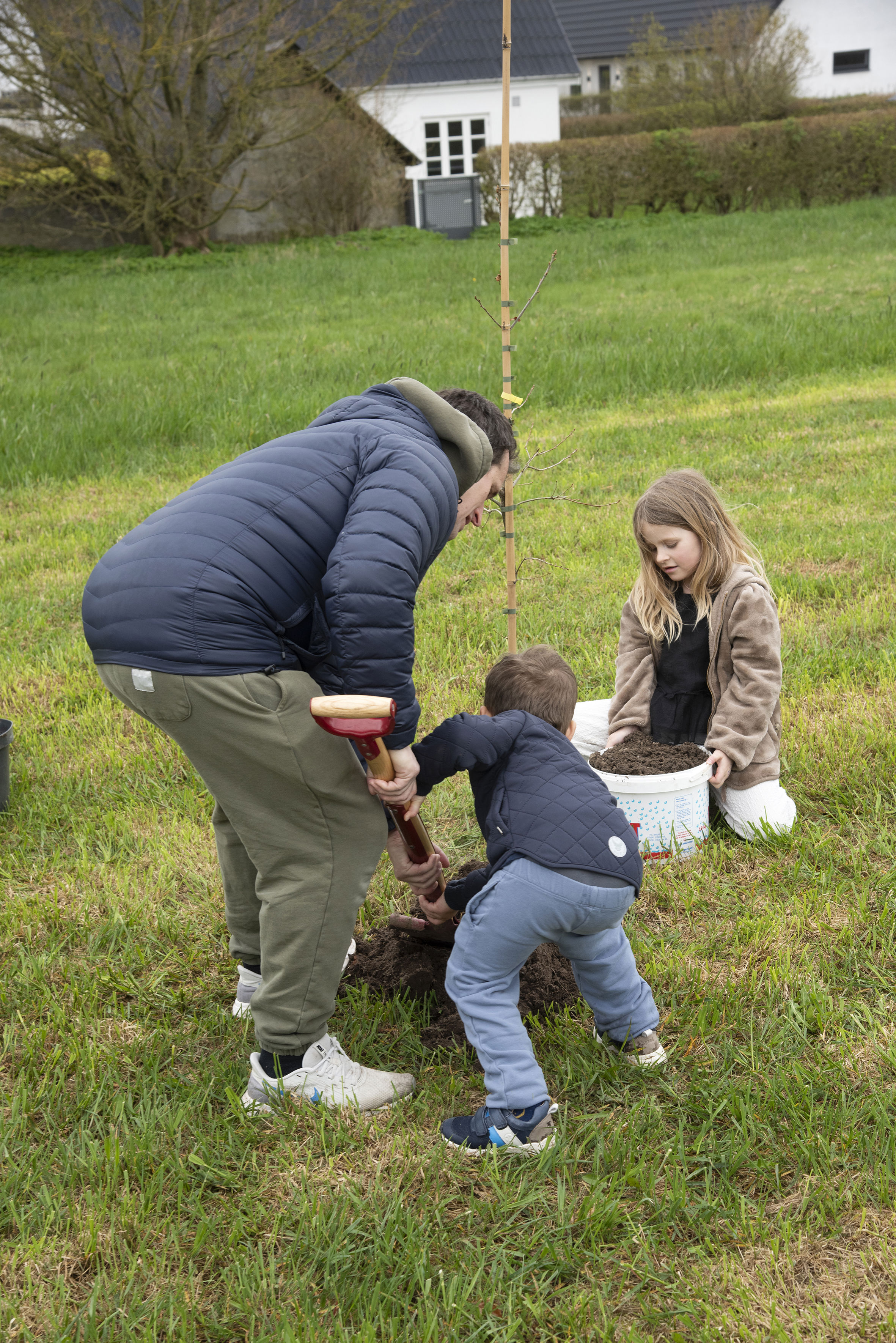 Plantning af træ i forbindelse med fejringen af borger nr. 100.000 i Asferg