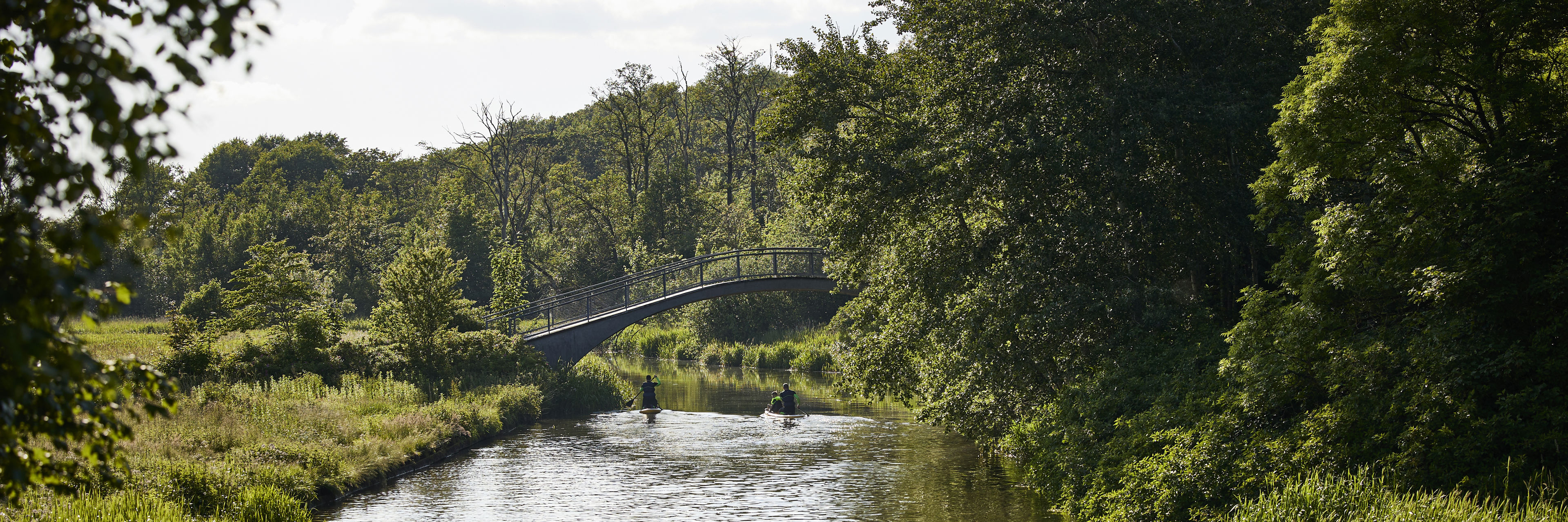 Nørreå i Fladbro Skov
