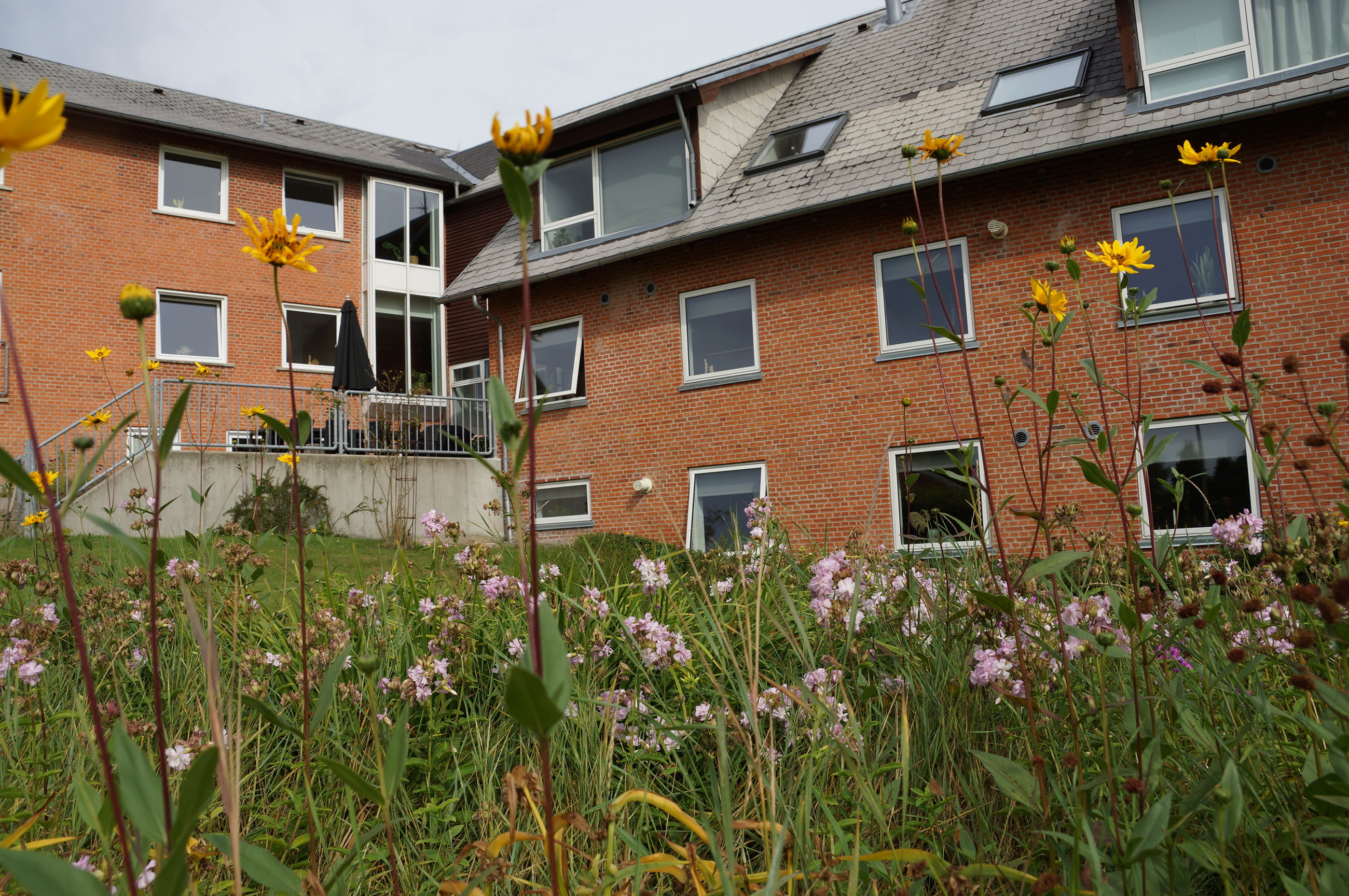 Offentligt parkareal med sti til indkøbsmuligheder ved Botilbuddet Bredgade & Svalegangen