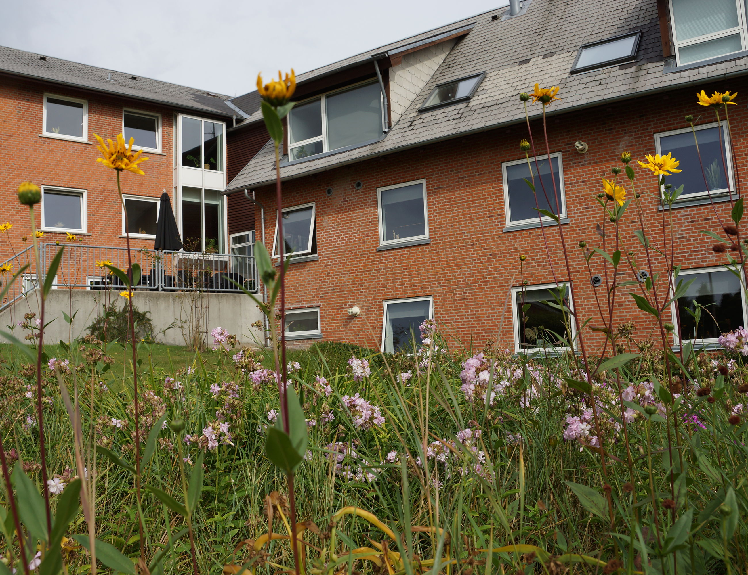 Offentligt parkareal med sti til indkøbsmuligheder ved Botilbuddet Bredgade & Svalegangen