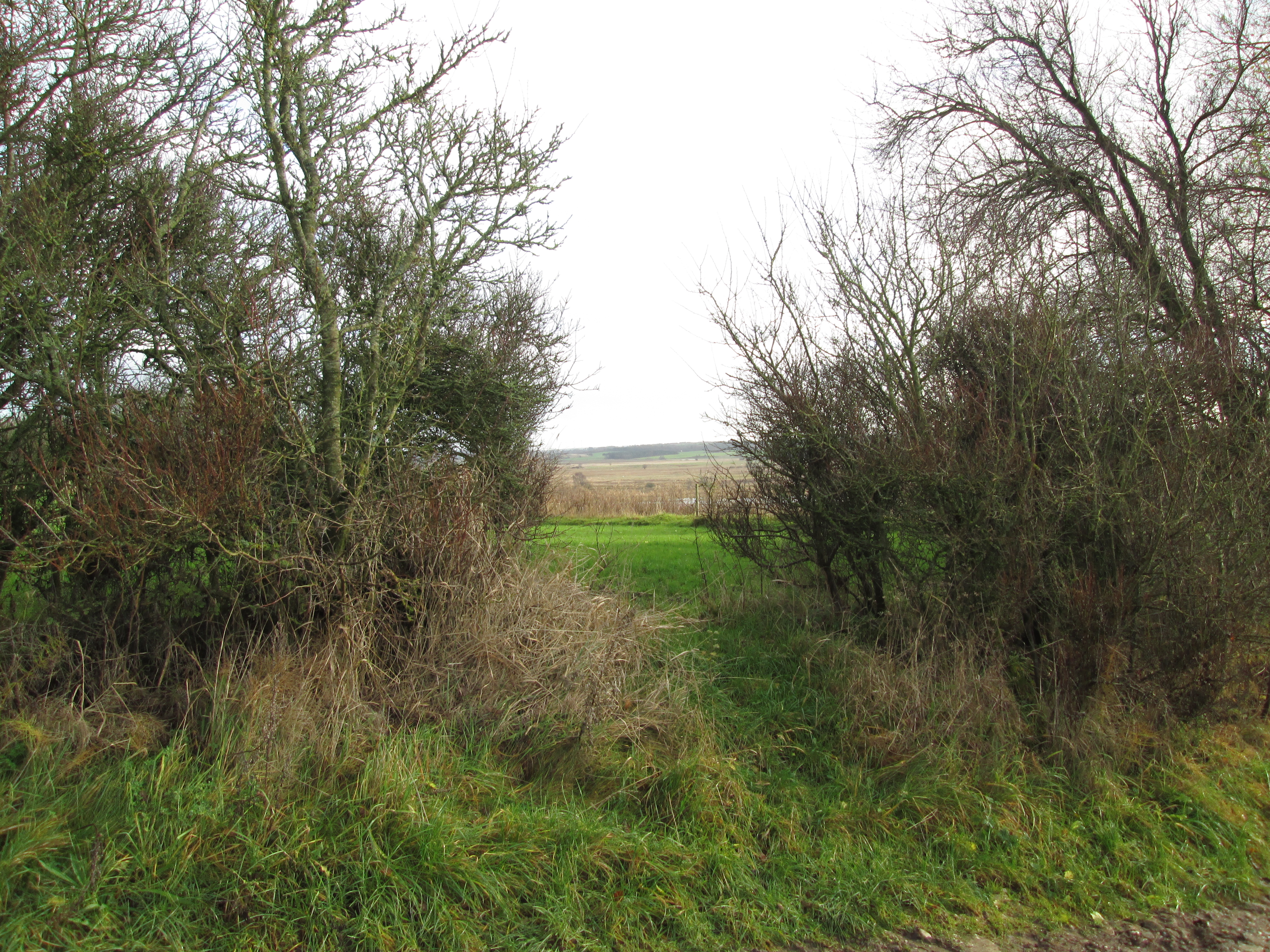 Udsigt i området ved Gjandrup og Venning