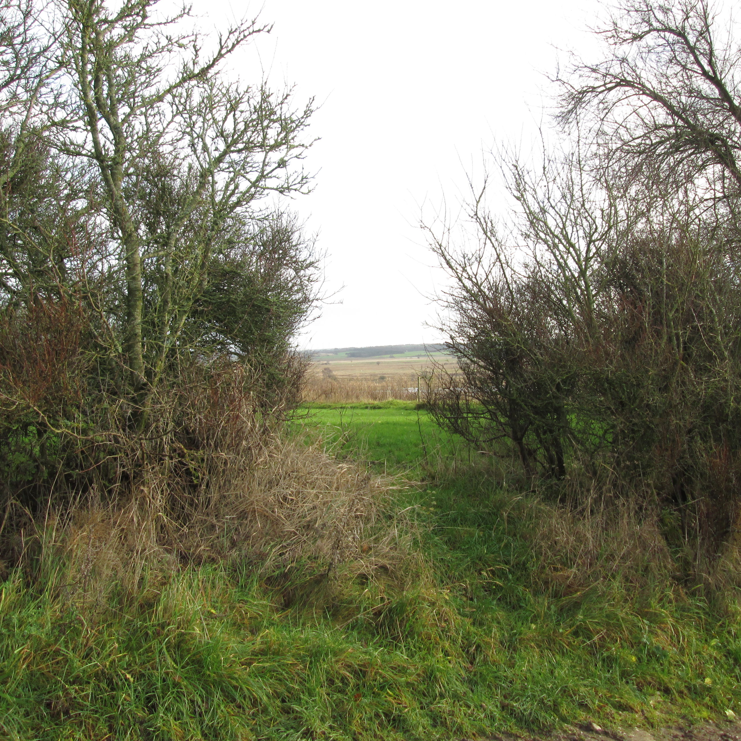 Udsigt i området ved Gjandrup og Venning