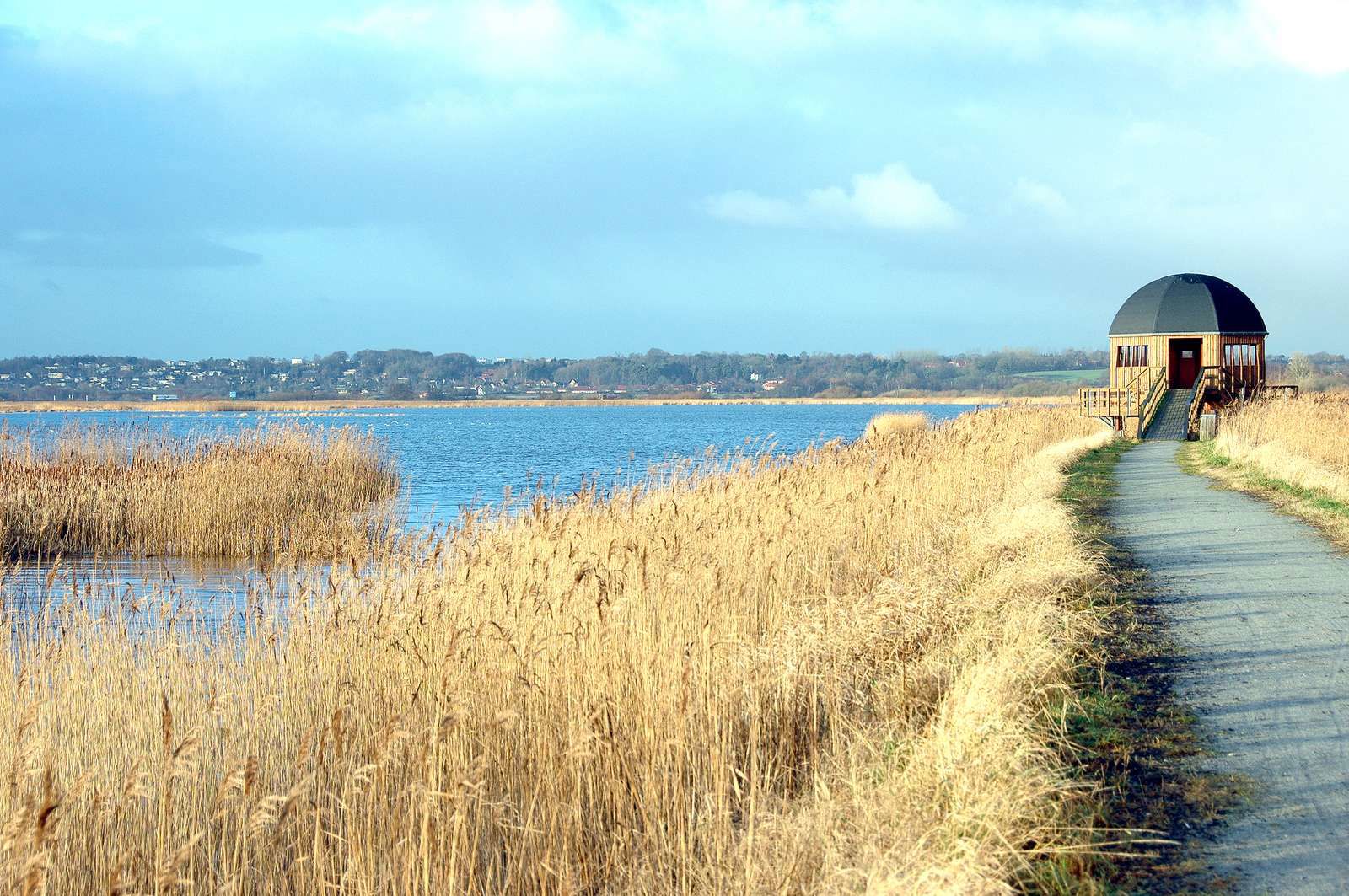 Fugletårn i Vorup Enge