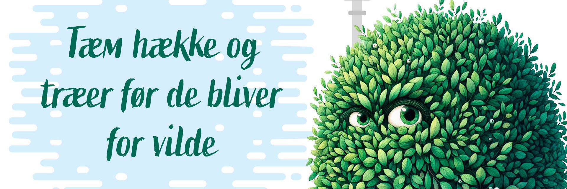 Hæk med øjne