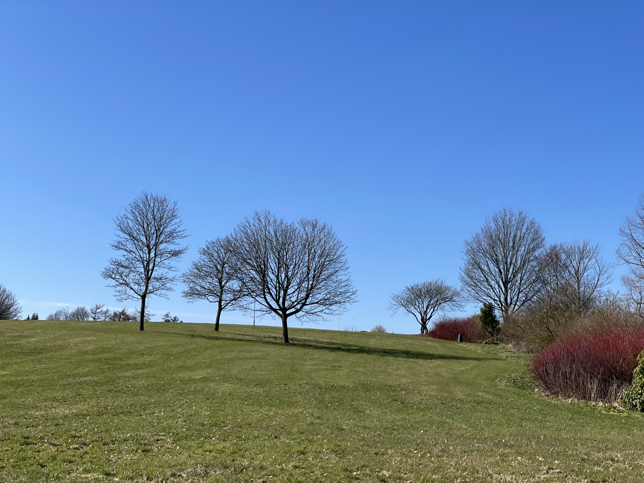 Foto fra Rismølleparken