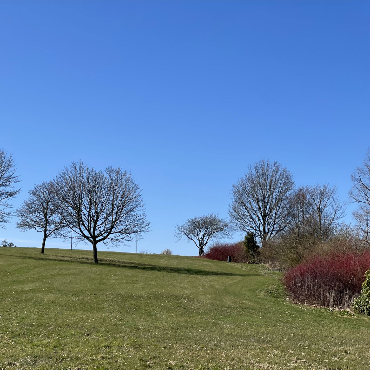 Foto fra Rismølleparken