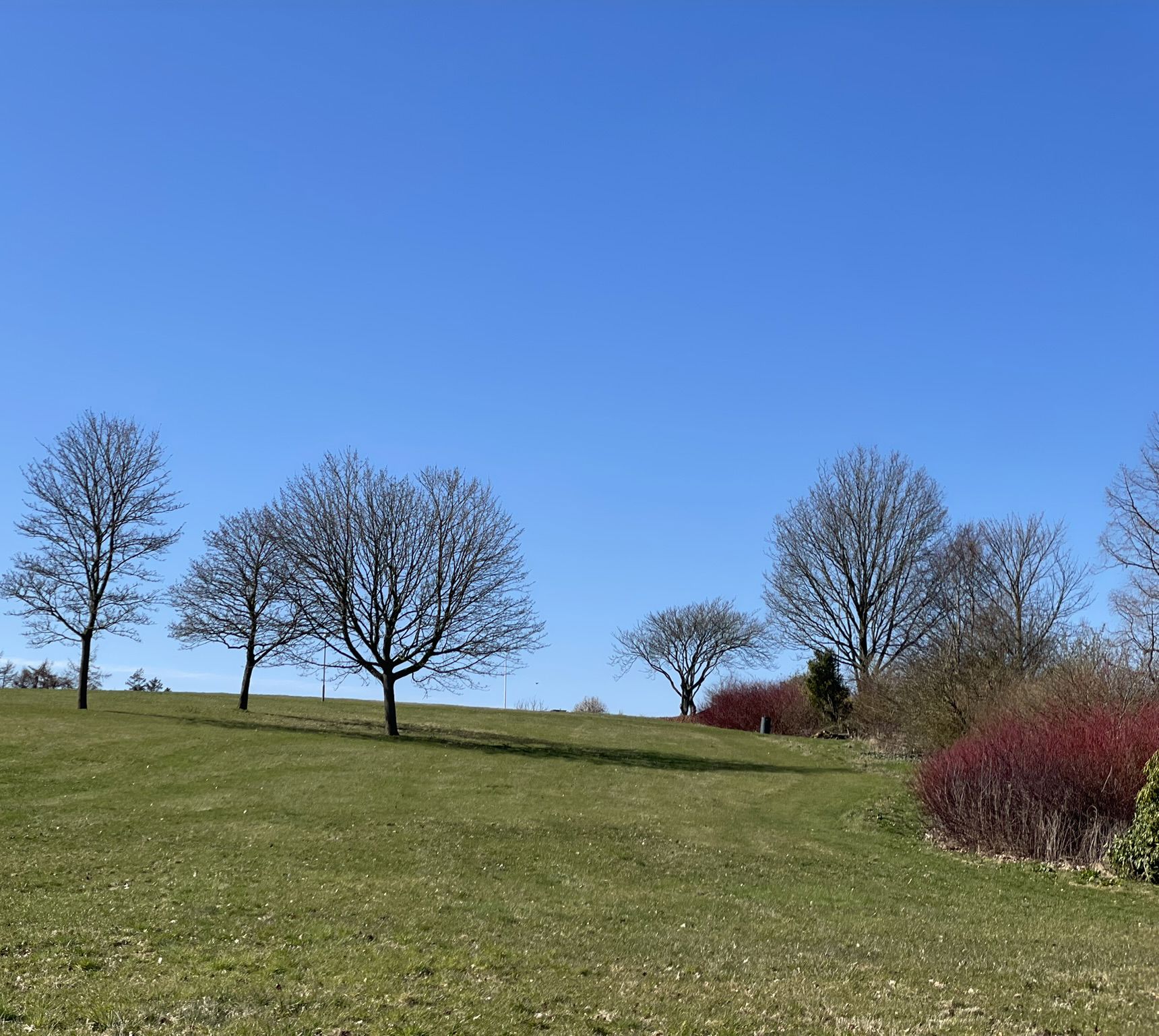 Foto fra Rismølleparken